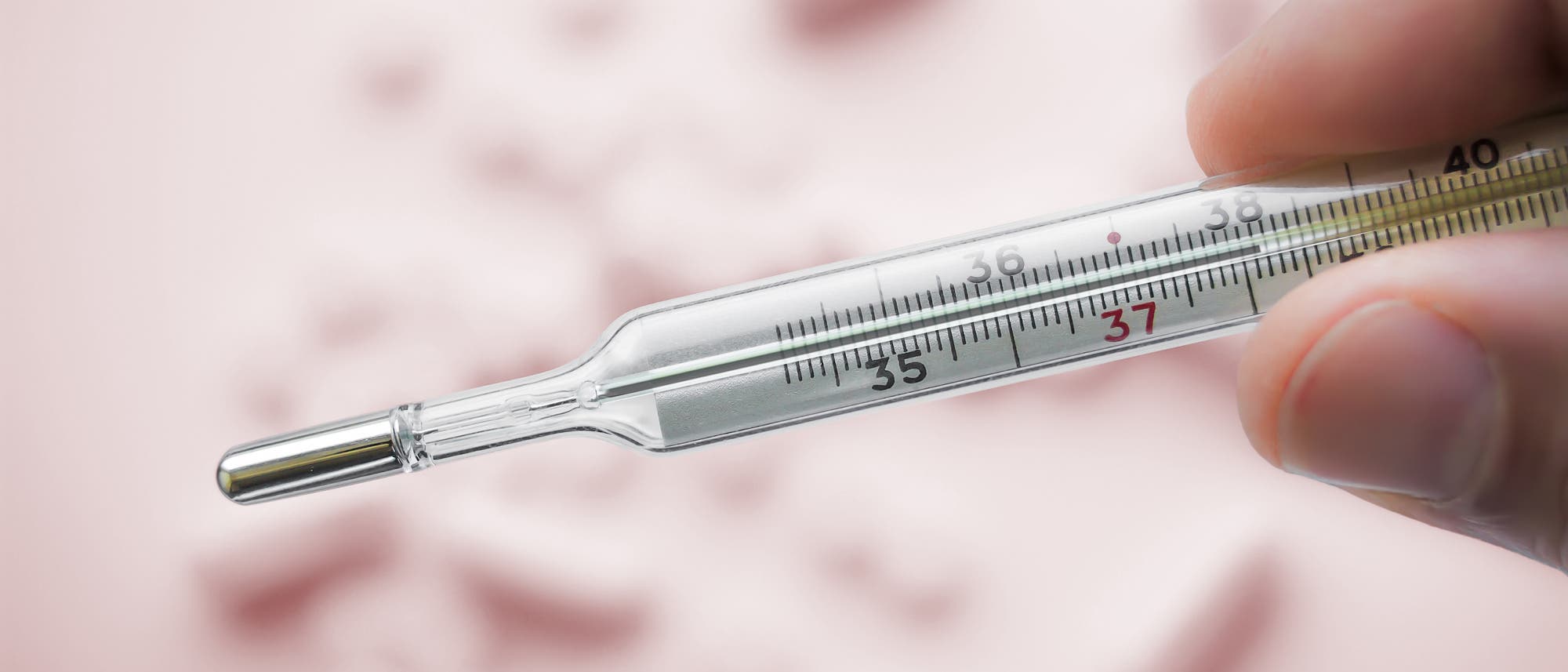 Ein zwischen Daumen und Zeigefinger gehaltenes klassisches Thermometer mit Quecksilber vor rosafarbenem Hintergrund, dort liegen einzelne Tabletten.