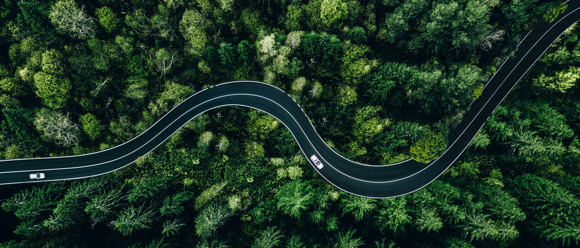Luftaufnahme einer kurvenreichen Straße, die durch einen dichten, grünen Wald führt. Zwei Autos sind auf der Straße zu sehen, die sich durch die üppige Vegetation schlängelt. Die Bäume variieren in Grüntönen und bilden ein dichtes Blätterdach. Luftaufnahme einer kurvenreichen Straße, die durch einen dichten, grünen Wald führt. Zwei Autos sind auf der Straße zu sehen, die sich durch die üppige Vegetation schlängelt. Die Bäume variieren in Grüntönen und bilden ein dichtes Blätterdach.