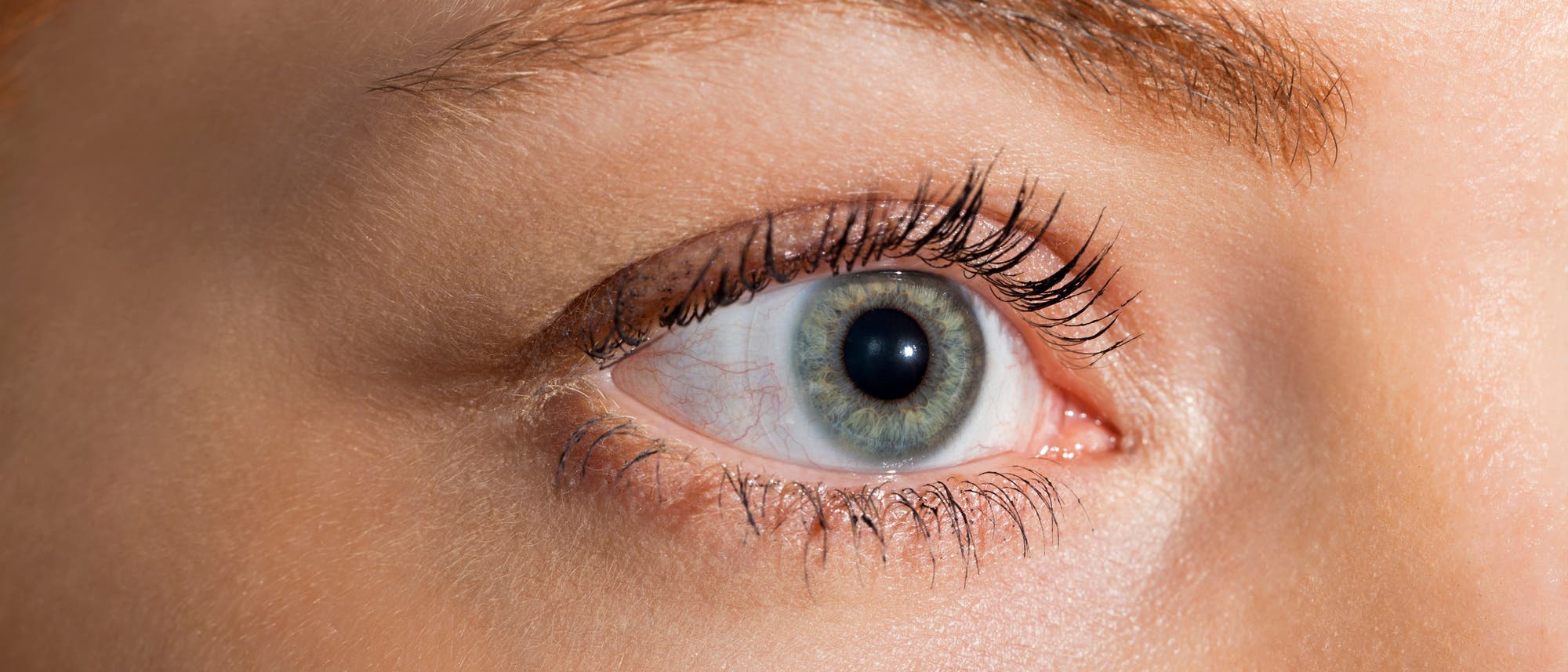 Nahaufnahme eines menschlichen Auges mit grüner Iris und klaren Details der Wimpern und Augenbrauen. Die Haut um das Auge ist gut sichtbar, ohne weitere Elemente oder Text im Bild. Nahaufnahme eines menschlichen Auges mit grüner Iris und klaren Details der Wimpern und Augenbrauen. Die Haut um das Auge ist gut sichtbar, ohne weitere Elemente oder Text im Bild.