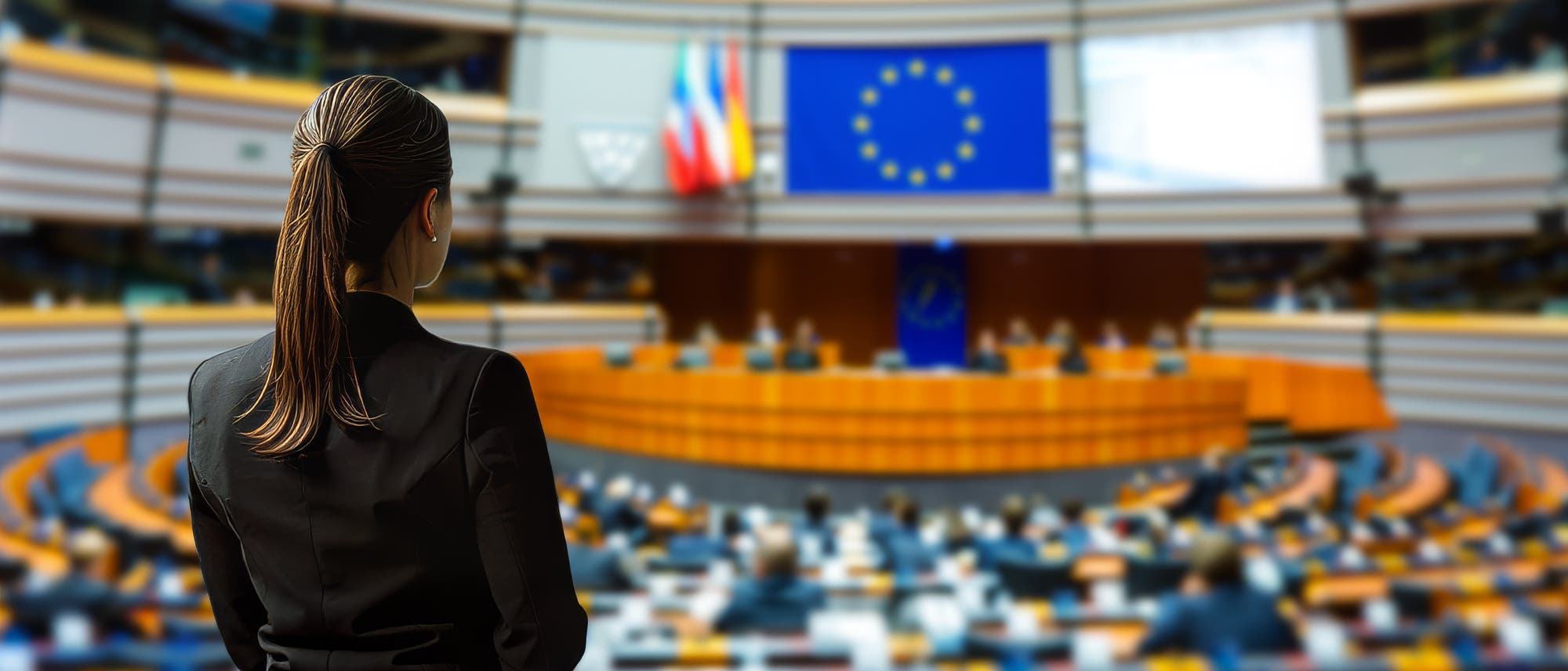 Eine Frau von hinten sichtbar im Zuschauerbereich vor Plenum des Europäischen Parlaments.