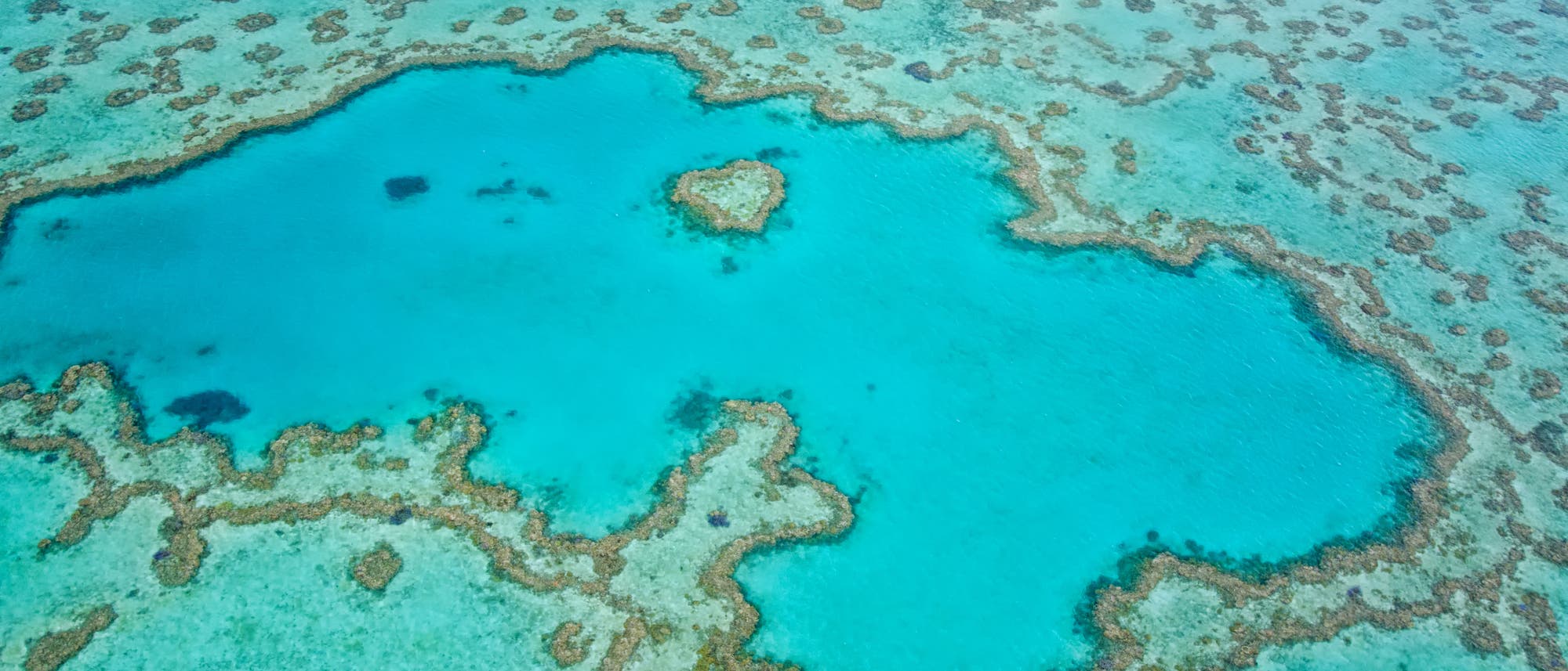 Das Great Barrier Reef von oben: türkisfarbenes Wasser durchzogen von Riffstrukturen