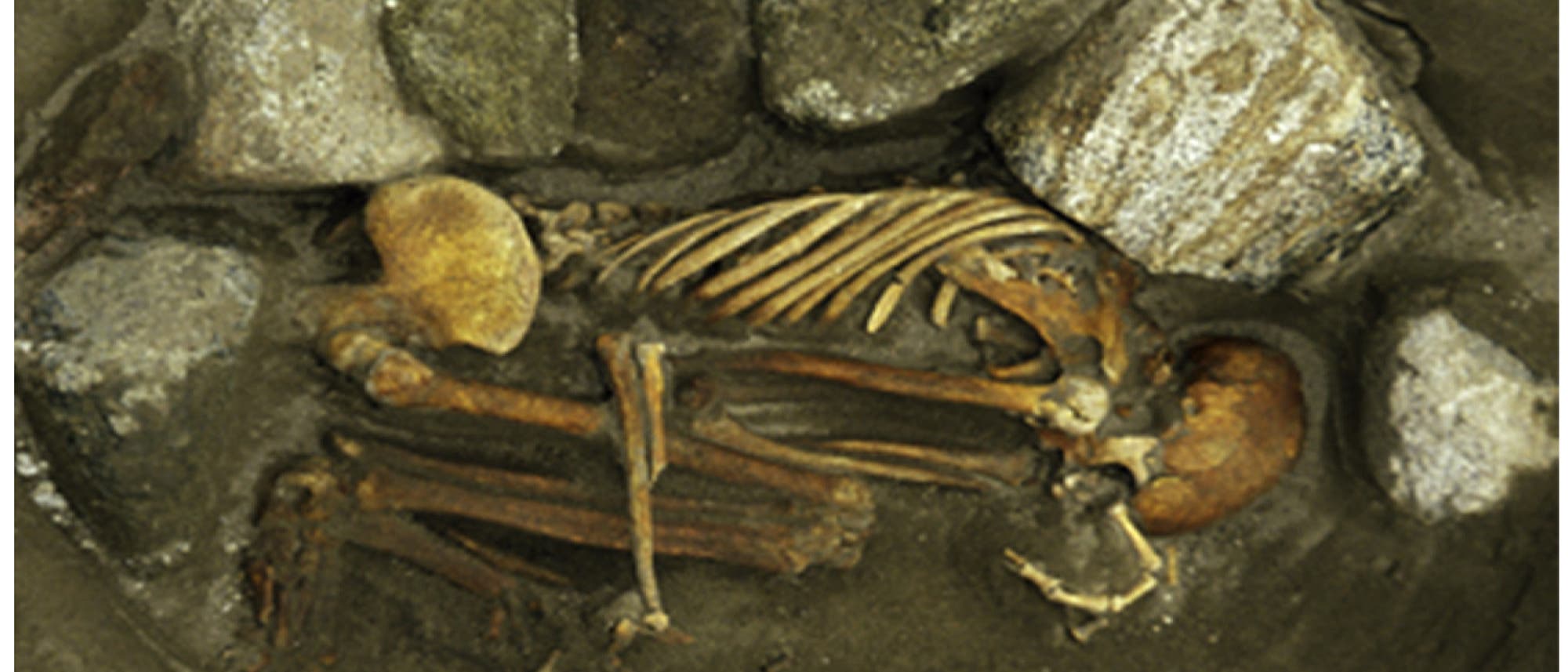 Weibliches Skelett aus dem bronzezeitlichen Cladh Hallan.