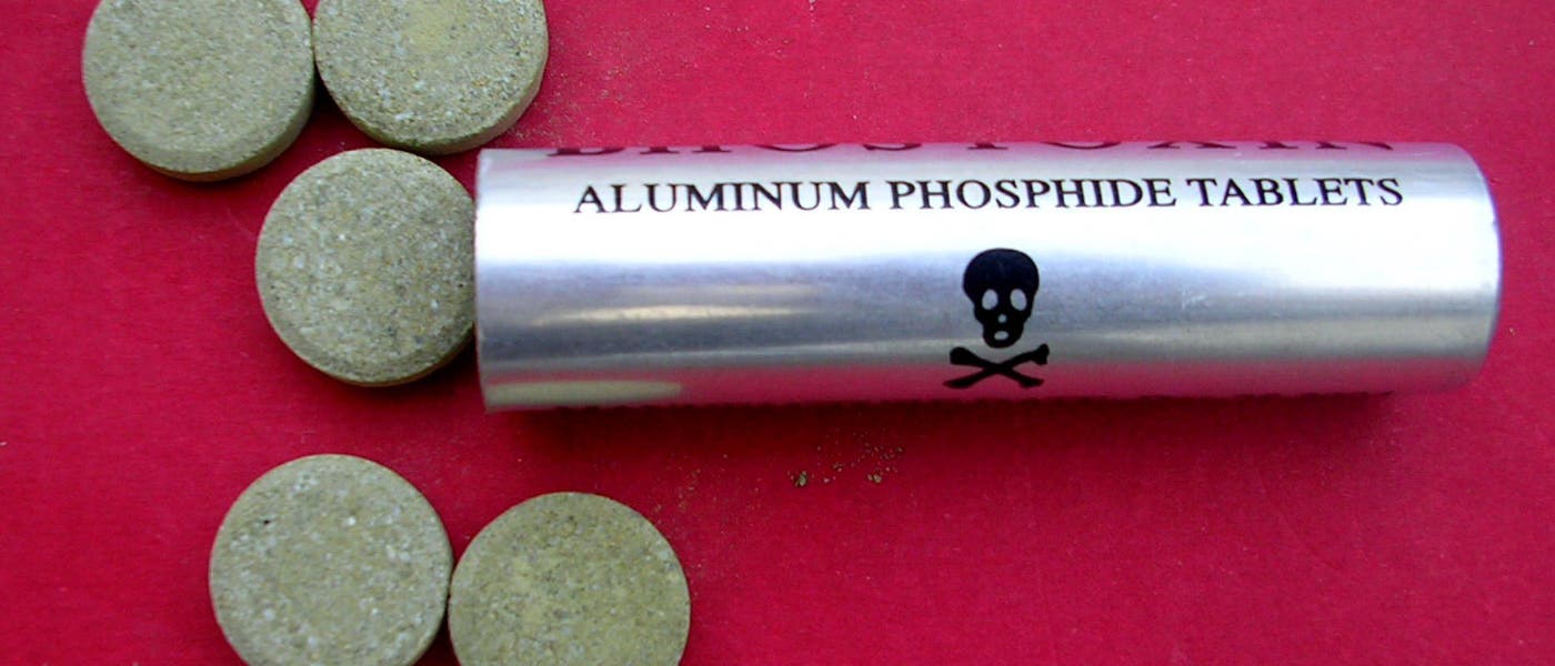Pellets aus Aluminiumphosphid, die an der Luft Phosphin freisetzen, sind weltweit ein verbreitetes Insektizid gegen Vorratsschädlinge und Insekten wie Bettwanzen.