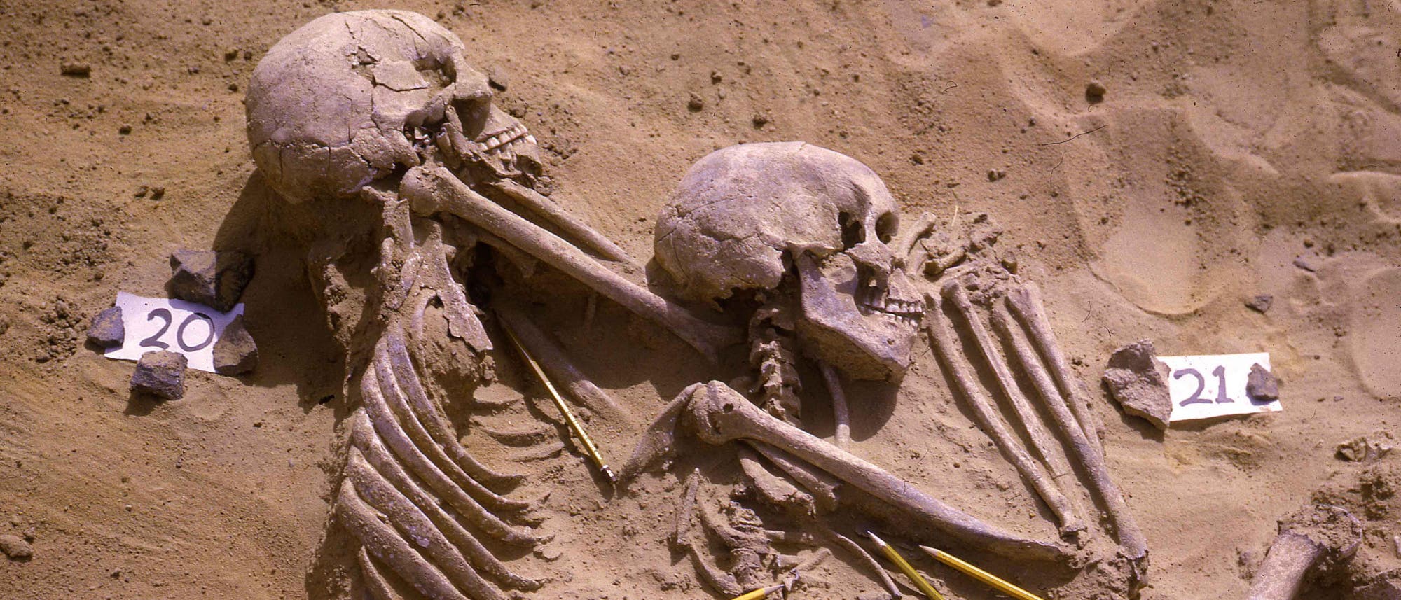Zwei Tote vom Friedhof Jebel Sahaba. Wie für diese Zeit üblich, waren die Toten auf der Seite liegend bestattet worden. Die Bleistifte deuten auf Fundstellen von Steinprojektilen hin.