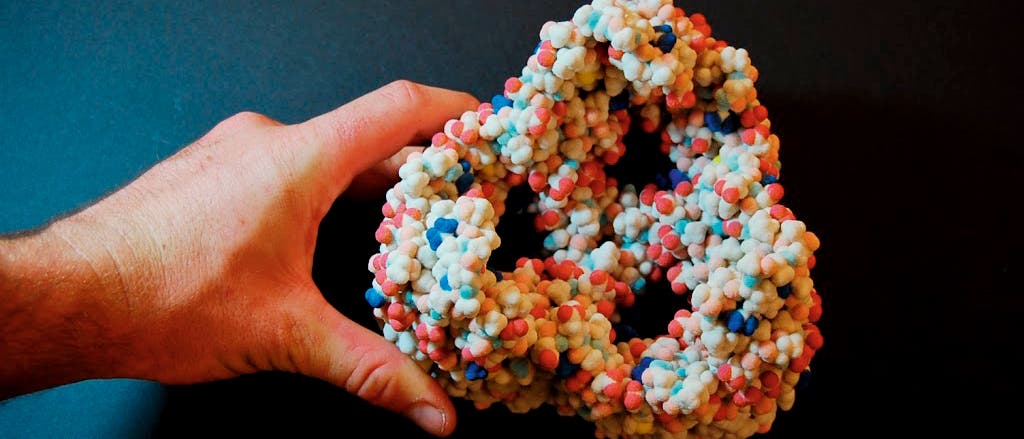3D-Druckmodell des Moleküls Porin