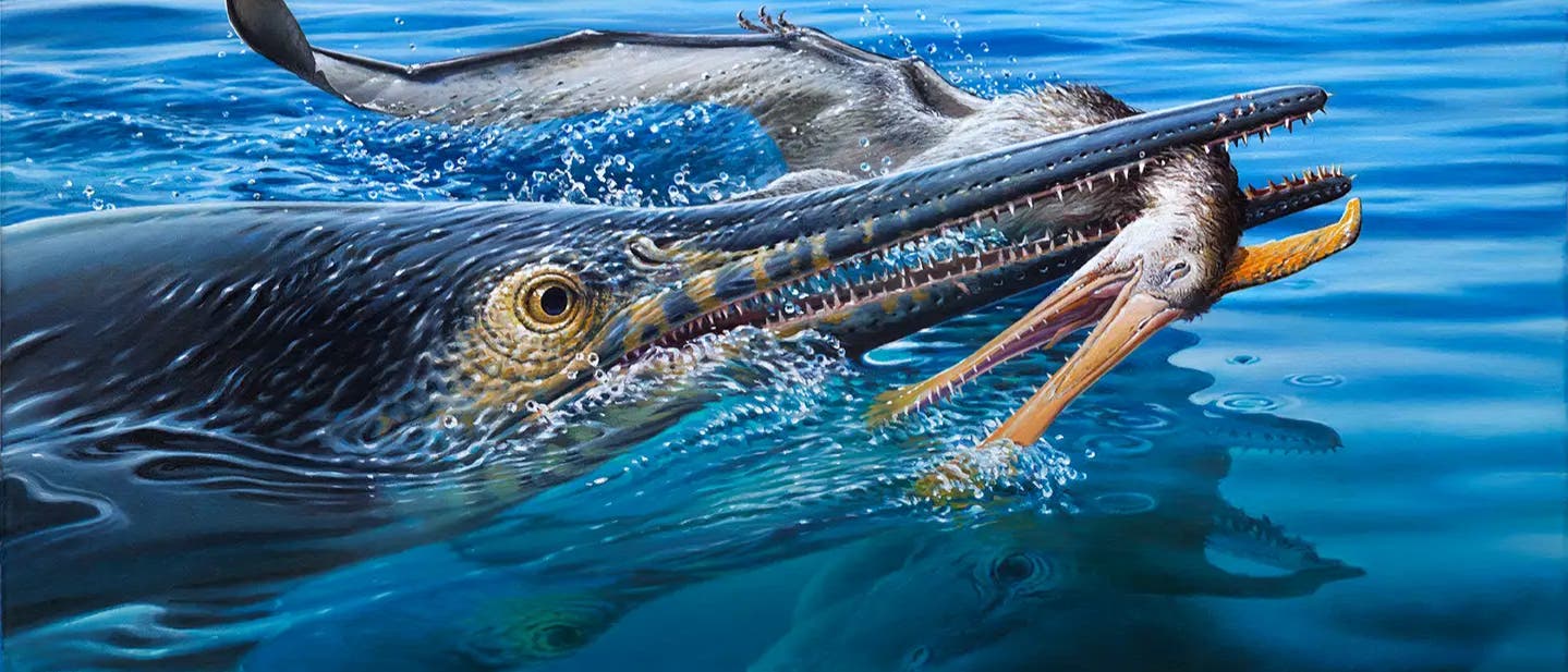 Eine künstlerische Darstellung zeigt eine dramatische Szene im Ozean, in der ein großer, urzeitlicher Meeresräuber mit langem, schmalem Maul und scharfen Zähnen einen fliegenden Fisch oder Vogel im Wasser fängt. Die Oberfläche des Wassers ist lebendig mit Spritzern und Wellen, die die Bewegung und Dynamik der Jagd betonen. Die Farben sind lebendig, mit tiefem Blau des Wassers und kontrastierenden Erdtönen des Raubtiers und seiner Beute. Eine künstlerische Darstellung zeigt eine dramatische Szene im Ozean, in der ein großer, urzeitlicher Meeresräuber mit langem, schmalem Maul und scharfen Zähnen einen fliegenden Fisch oder Vogel im Wasser fängt. Die Oberfläche des Wassers ist lebendig mit Spritzern und Wellen, die die Bewegung und Dynamik der Jagd betonen. Die Farben sind lebendig, mit tiefem Blau des Wassers und kontrastierenden Erdtönen des Raubtiers und seiner Beute.