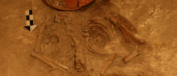 Ältestes Grab eines Mayafürsten entdeckt