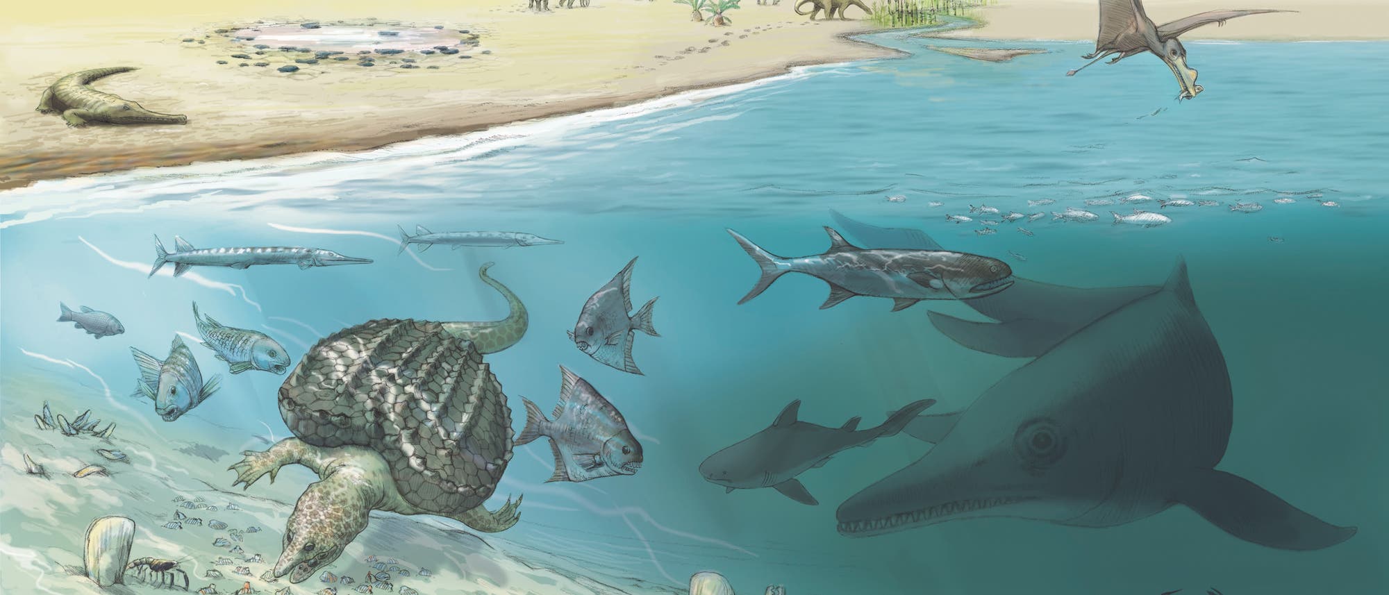 Meereswelt vor 250 Millionen Jahren mit walgroßem Fischsaurier