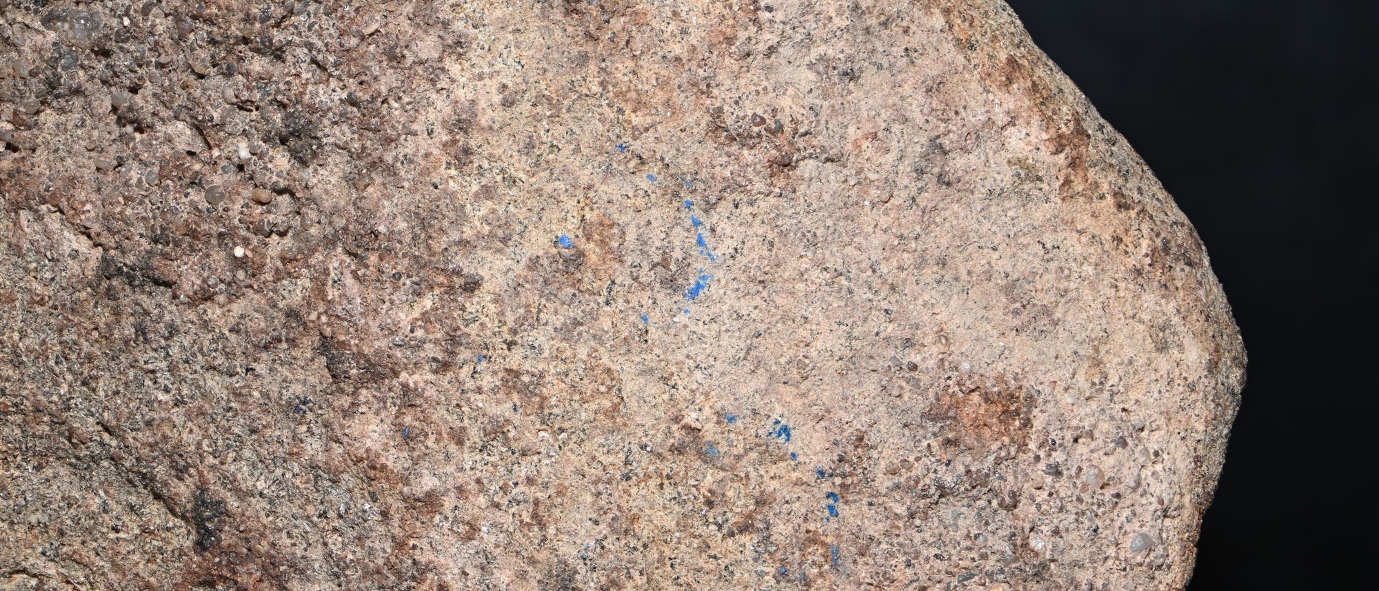 Nahaufnahme eines groben Felsens mit unregelm&auml;&szlig;iger Oberfl&auml;che und verschiedenen Braunt&ouml;nen. Der Felsen zeigt kleine blaue Markierungen, die sich &uuml;ber die Oberfl&auml;che verteilen. Der Hintergrund ist dunkel und hebt den Felsen hervor.