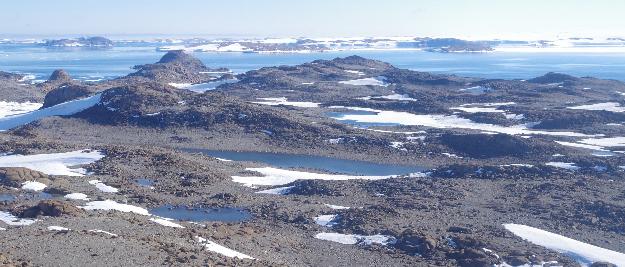 Weite, felsige Landschaft in der Antarktis mit vereinzelten Schneefeldern und kleinen Wasserflächen. Im Hintergrund erstreckt sich das blaue Meer bis zum Horizont, wo es auf den klaren, blauen Himmel trifft. Die Szene vermittelt eine ruhige, unberührte Natur.