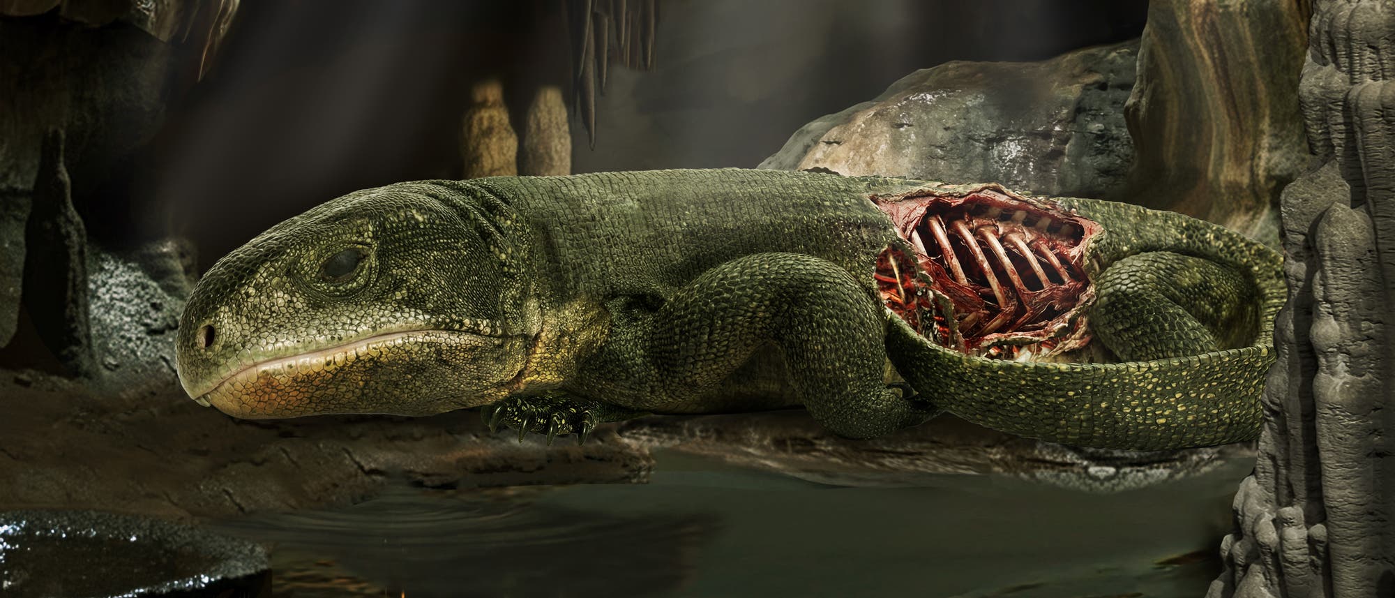 Eine künstlerische Darstellung einer Höhle mit einem reptilienartigen Wesen im Vordergrund. Es liegt auf dem Boden der Höhle, und ein Teil seines Körpers ist geöffnet, sodass Rippen sichtbar sind. Die Umgebung ist dunkel und felsig, was die natürliche Lebensweise des Tiers andeutet. Eine künstlerische Darstellung einer Höhle mit einem reptilienartigen Wesen im Vordergrund. Es liegt auf dem Boden der Höhle, und ein Teil seines Körpers ist geöffnet, sodass Rippen sichtbar sind. Die Umgebung ist dunkel und felsig, was die natürliche Lebensweise des Tiers andeutet.