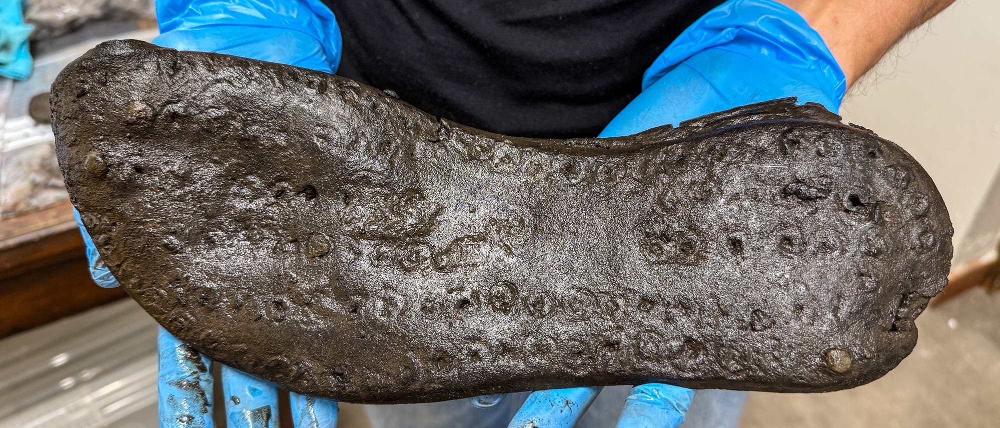 Eine Person in einem schwarzen T-Shirt hält mit blauen Handschuhen eine altrömische, abgenutzte Schuhsohle. Die Sohle ist dunkel und weist sichtbare Abnutzungsspuren auf. Im Hintergrund sind unscharf einige Gegenstände zu erkennen.