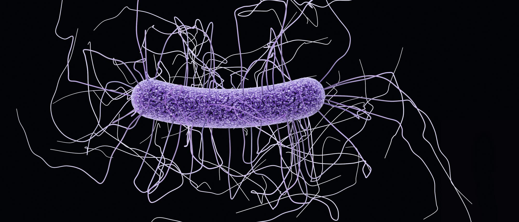 Bakterium Clostridium difficile