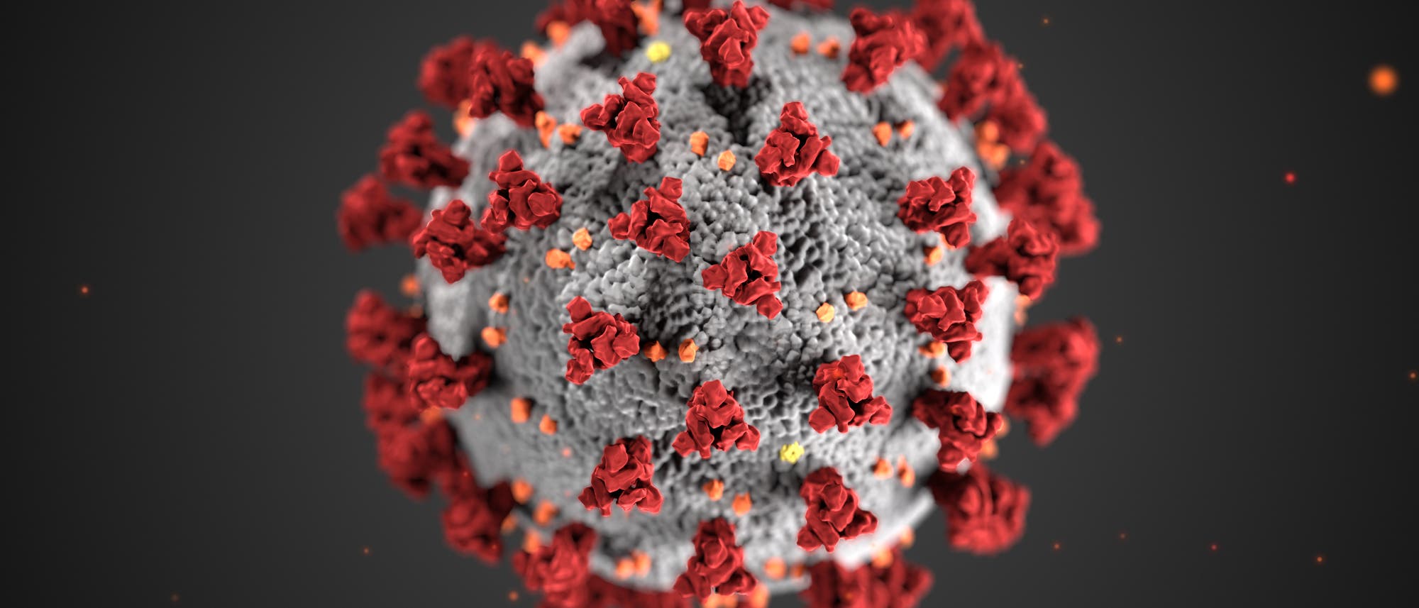 Illustration eines Sars-CoV-2-Virus