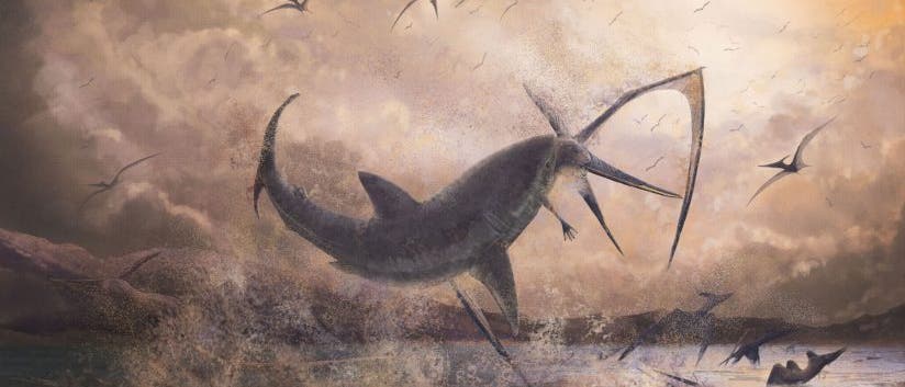 Hai schnappt Pterosaurier