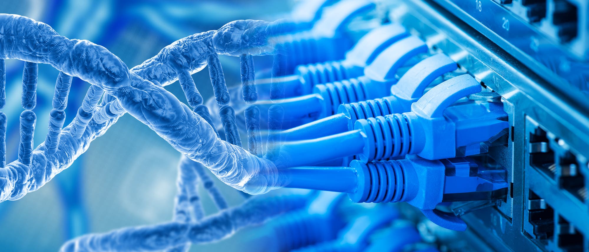 Ethernet-Kabel gehen über in einen stilisierten DNA-Strang