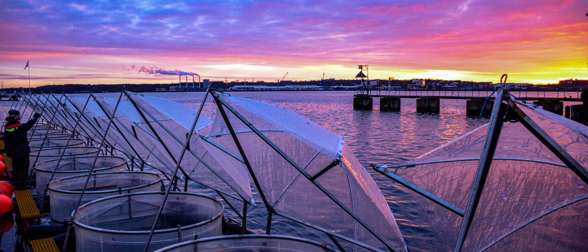 Geöffnete Mesokosmen im Sonnenaufgang in der Kieler Förde