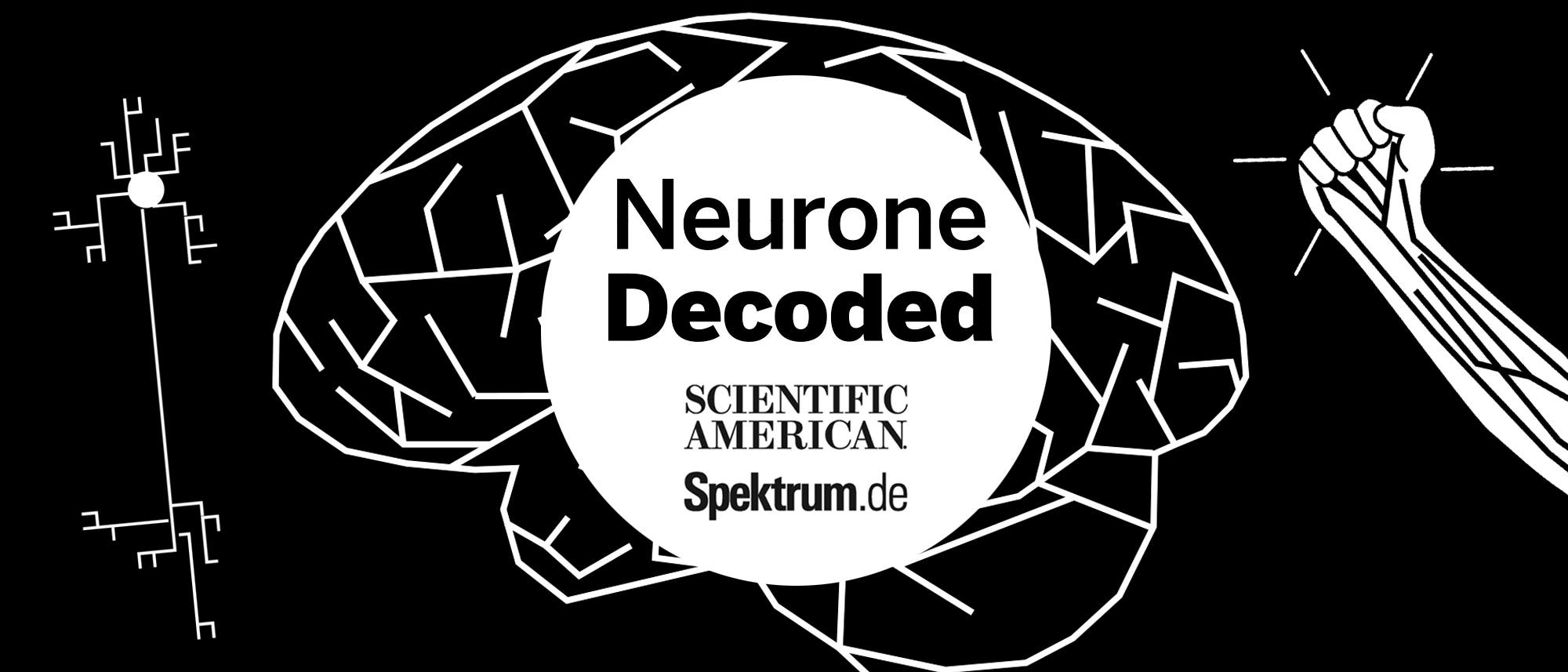 Decoded: Neurone