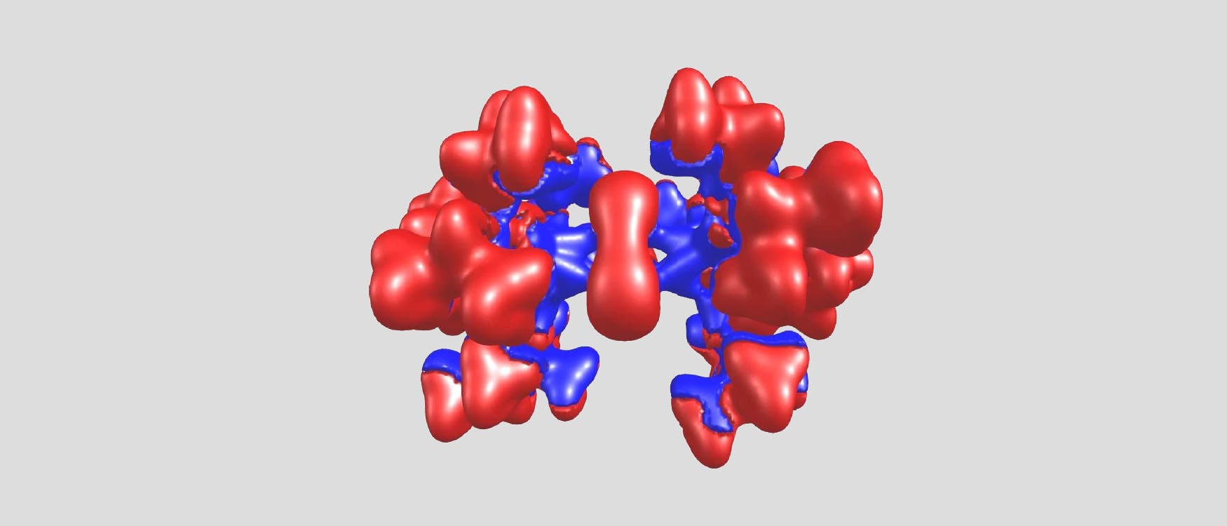 3D-Darstellung einer Proteinstruktur mit roten und blauen Bereichen, die unterschiedliche molekulare Eigenschaften oder Bindungsstellen darstellen. Die Struktur zeigt eine komplexe Anordnung von kugelf&ouml;rmigen und l&auml;nglichen Formen, die die r&auml;umliche Anordnung des Proteins verdeutlichen. Der Hintergrund ist grau, um den Fokus auf die Proteinstruktur zu lenken.