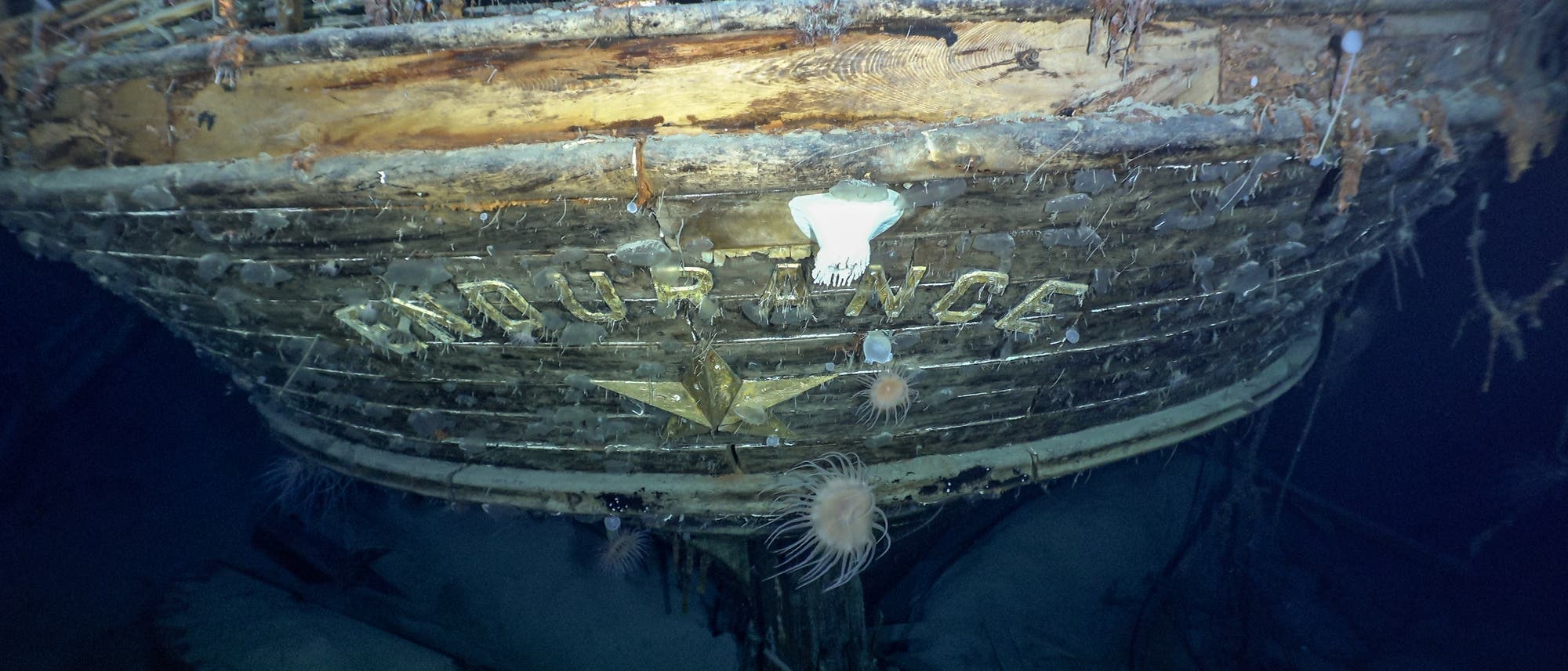 Der Schiffsname am Heck lieferte Gewissheit: Das Expeditionsteam hat tatsächlich die Endurance aufgespürt. Mit einem Tauchroboter steuerte es das Wrack in der Tiefe des Weddellmeers an.