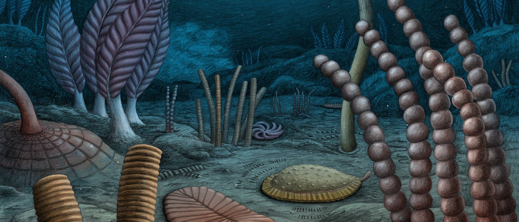 Eine künstlerische Darstellung einer prähistorischen Unterwasserlandschaft. Verschiedene pflanzenartige Strukturen und organische Formen sind auf dem Meeresboden verteilt. Im Vordergrund sind spiralförmige und säulenartige Gebilde zu sehen, während im Hintergrund fächerartige und baumartige Formen emporragen. Die Farbpalette besteht aus gedeckten Blau-, Braun- und Grüntönen, die eine ruhige, mystische Atmosphäre schaffen. Eine künstlerische Darstellung einer prähistorischen Unterwasserlandschaft. Verschiedene pflanzenartige Strukturen und organische Formen sind auf dem Meeresboden verteilt. Im Vordergrund sind spiralförmige und säulenartige Gebilde zu sehen, während im Hintergrund fächerartige und baumartige Formen emporragen. Die Farbpalette besteht aus gedeckten Blau-, Braun- und Grüntönen, die eine ruhige, mystische Atmosphäre schaffen.