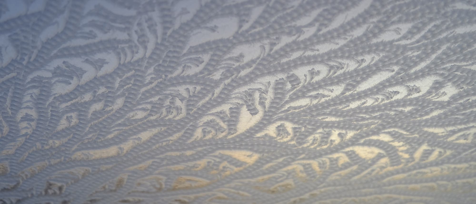 Eine Nahaufnahme von Eisblumen auf einer Fensterscheibe. Die frostigen Muster bilden komplexe, filigrane Strukturen, die an Pflanzen oder Federn erinnern. Das Licht scheint durch das Glas und erzeugt einen sanften, bläulichen Schimmer.