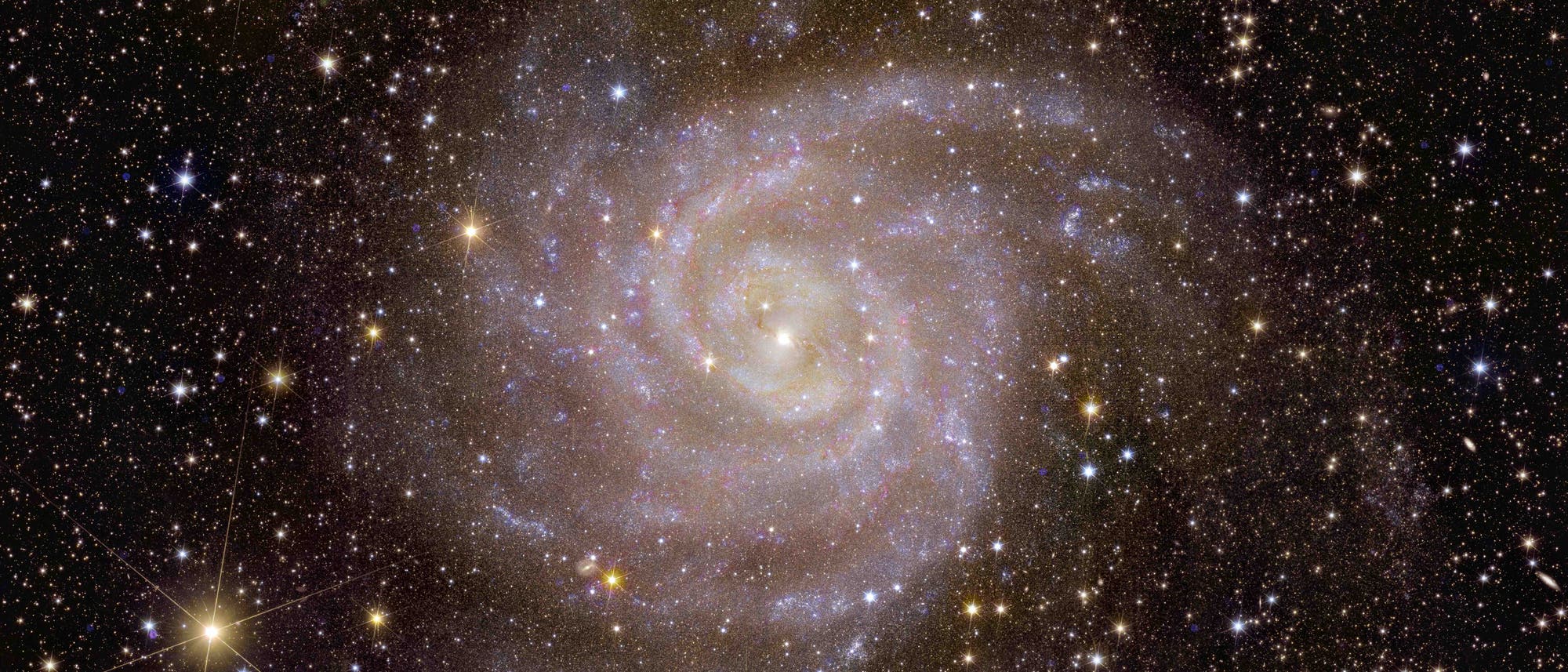 Spiralgalaxie IC 342