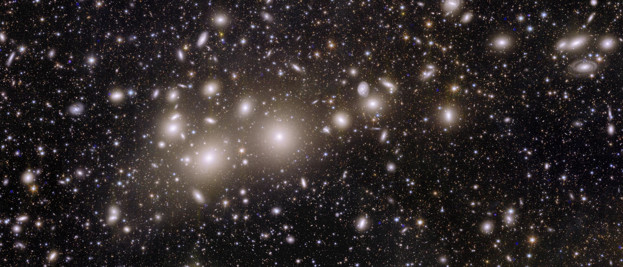 Tausende Galaxien des Perseus-Clusters, aufgenommen mit Euclid