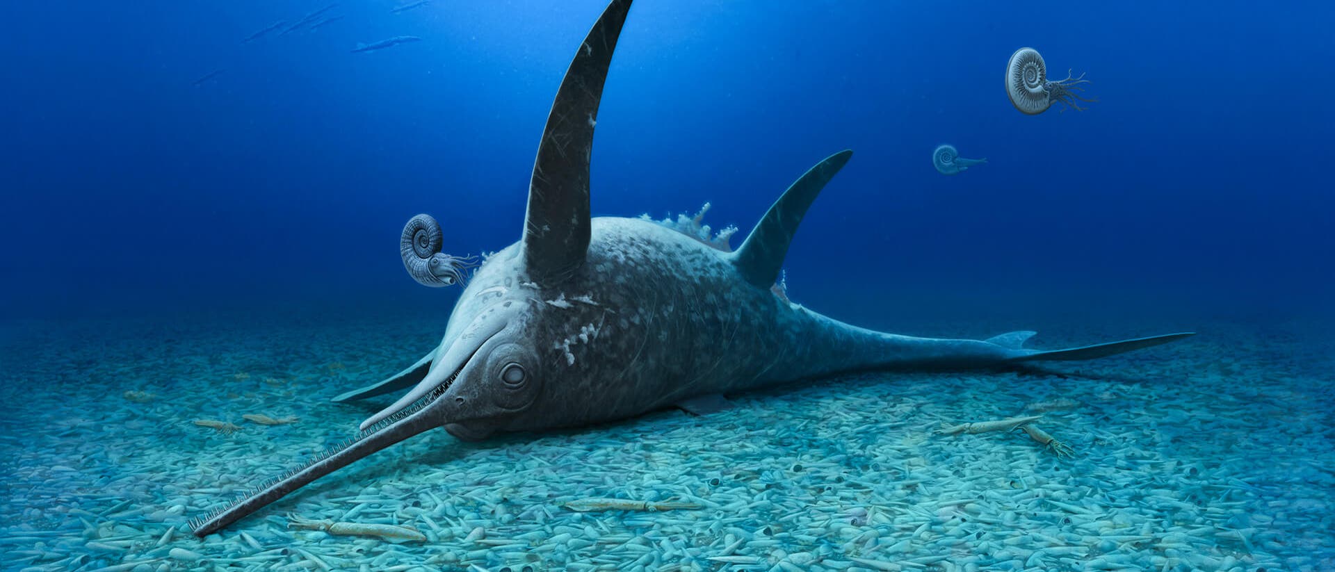 3-D-Darstellung eines pr&auml;historischen Meeres mit einem gro&szlig;en, fisch&auml;hnlichen Lebewesen, das am Meeresboden ruht. Es hat einen langen, schmalen Schnabel und zwei gro&szlig;e, seitlich abstehende Flossen. Im Hintergrund sind mehrere spiralf&ouml;rmige, schnecken&auml;hnliche Kreaturen zu sehen. Der Meeresboden ist mit zahlreichen kleinen, l&auml;nglichen Objekten bedeckt, die wie fossile &Uuml;berreste wirken. Die Szene ist in blauen T&ouml;nen gehalten, die die Tiefe des Ozeans betonen.