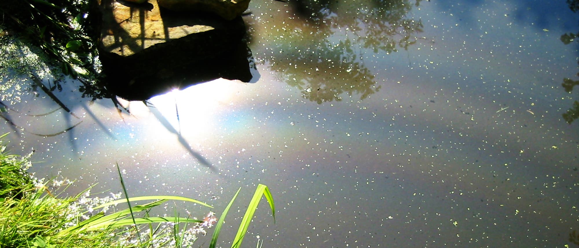 Sonnenreflex liegt auf einem der Bögen, die sich um ein fiktives Zentrum außerhalb des Teichs krümmen