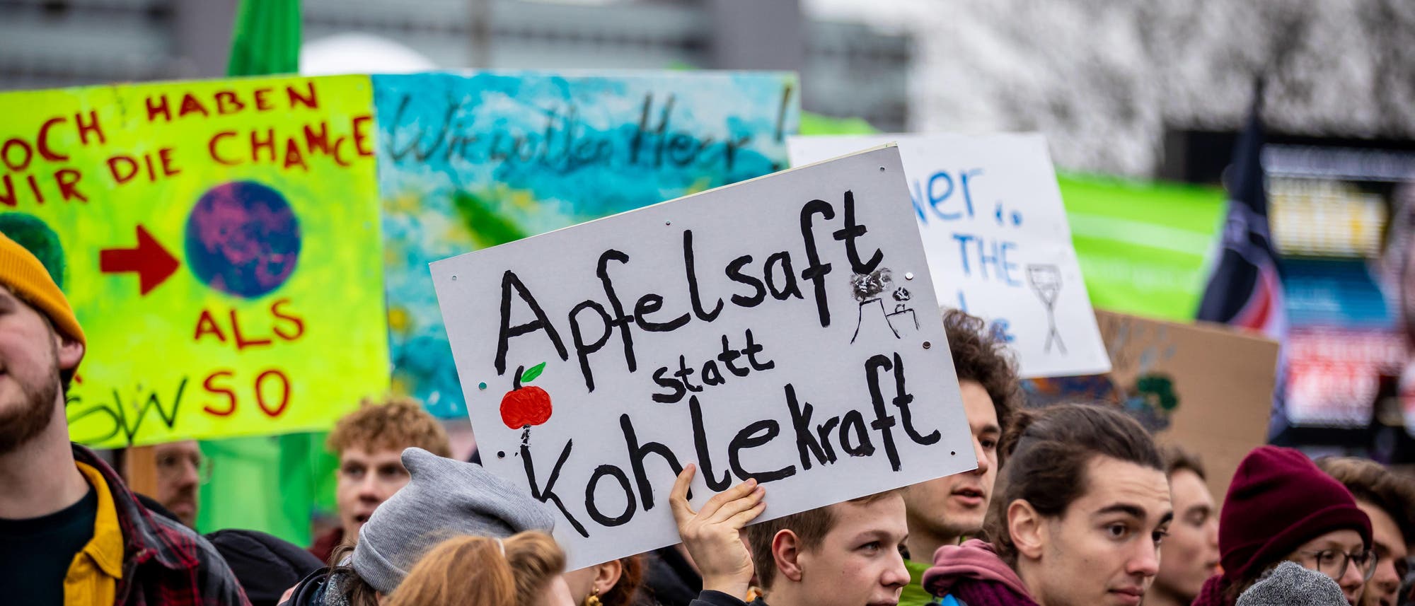 Teilnehmer der Demonstration "Fridays for Future" in Hamburg