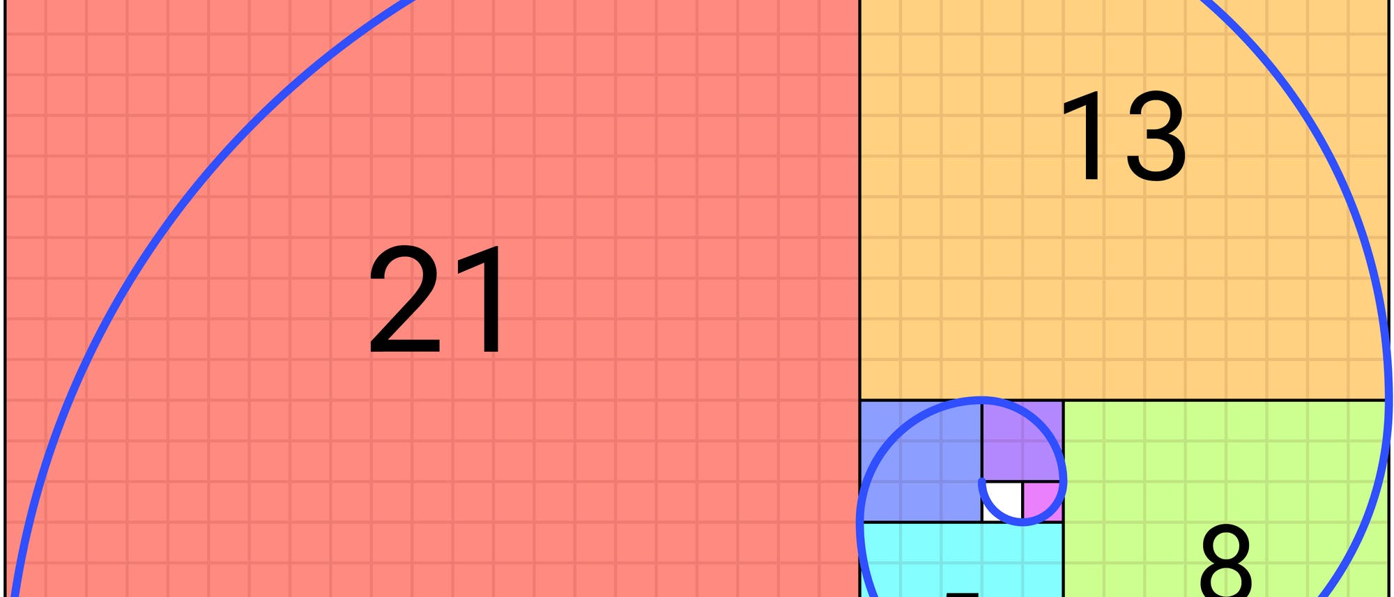 Fibonacci-Folge in der Schale von Perlbooten Fibonacci-Folge in der Schale von Perlbooten