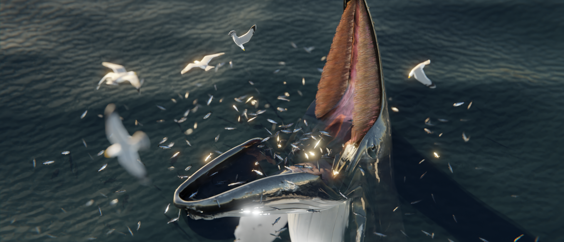Ein Buckelwal steht senkrecht im Wasser und öffnet sein Maul. 