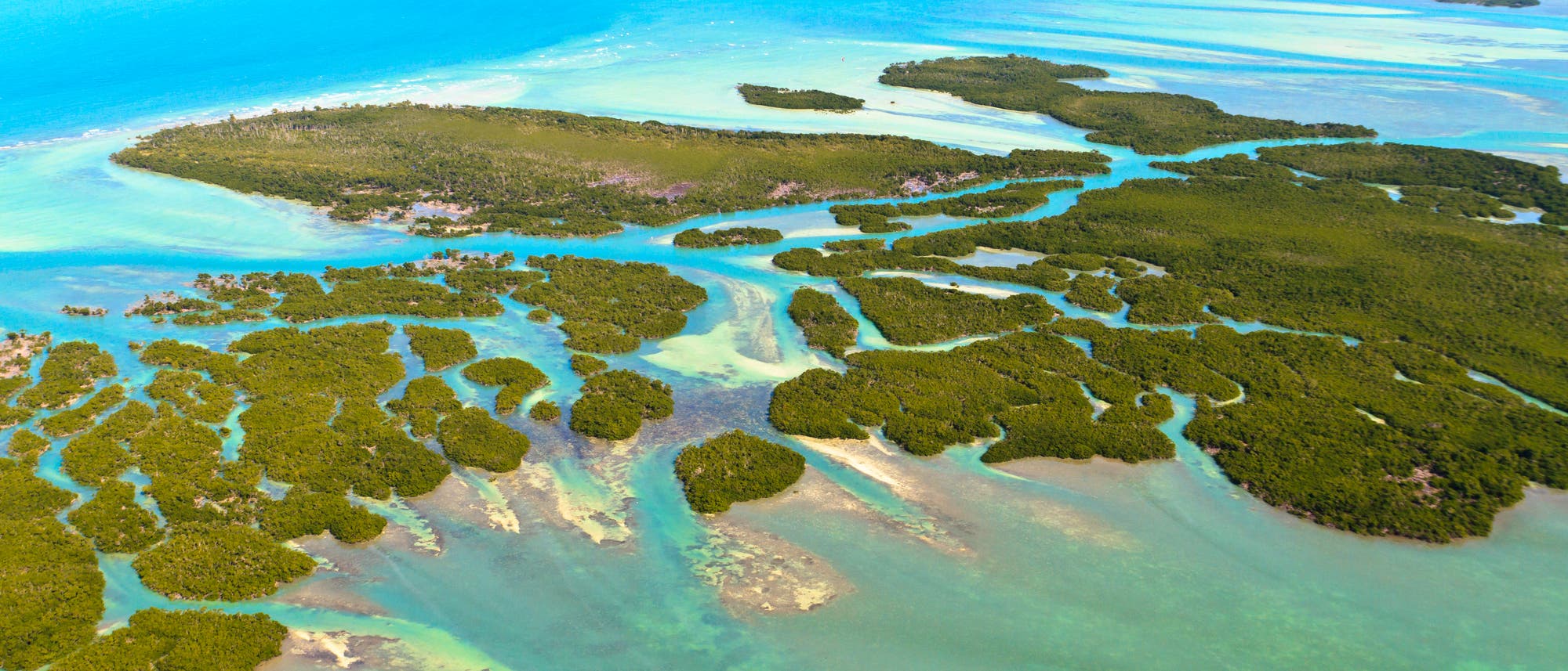 Rund um die Florida Keys finden sich noch Korallenriffe - aber nur wenige.