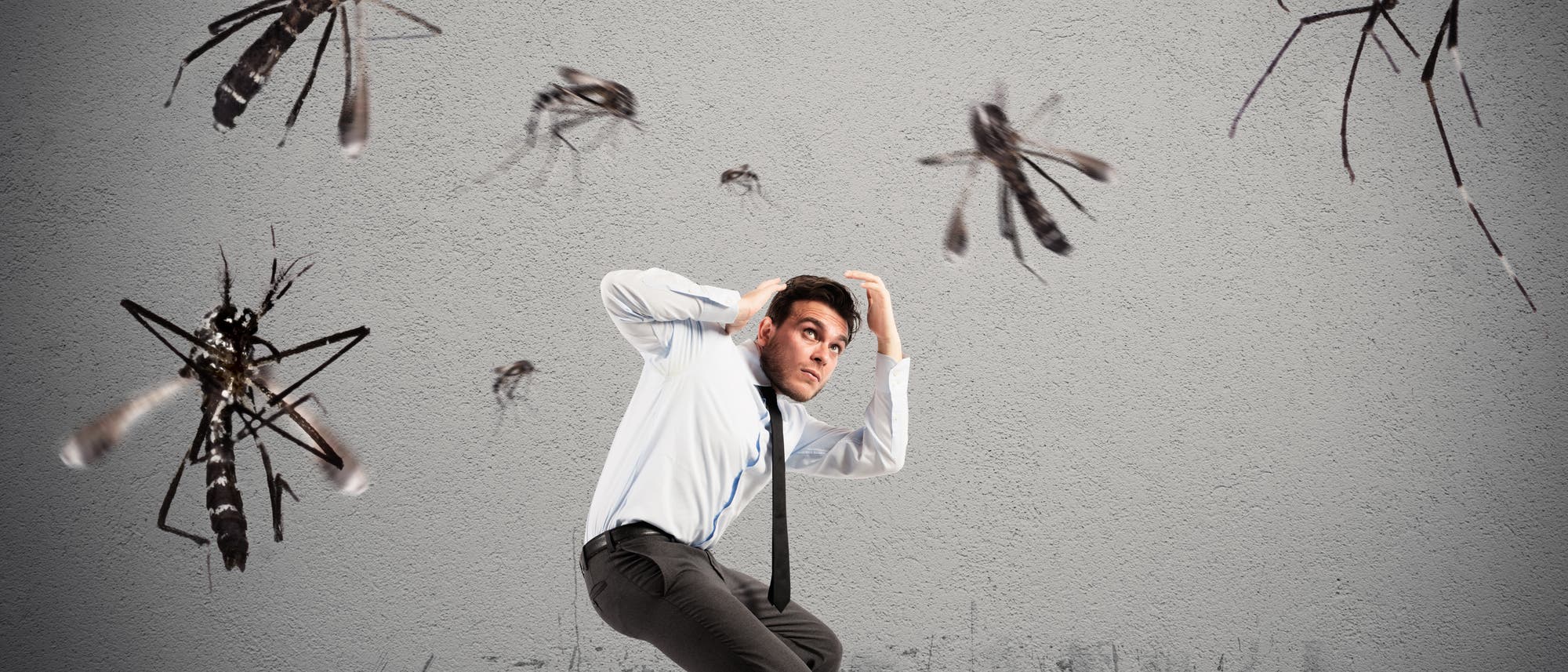 Symbolbild übergroße Mücken umschwirren einen Mann