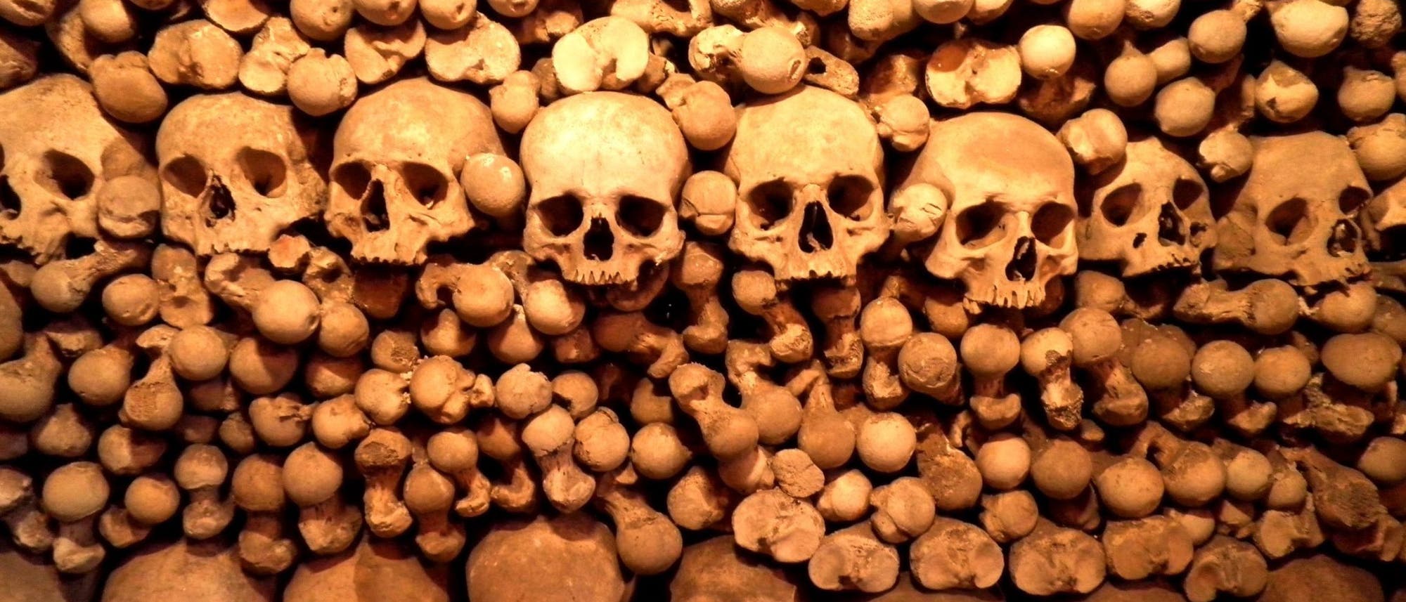 Eine Reihe Schädel in einem Stapel ordentlich sortierter menschlicher Knochen