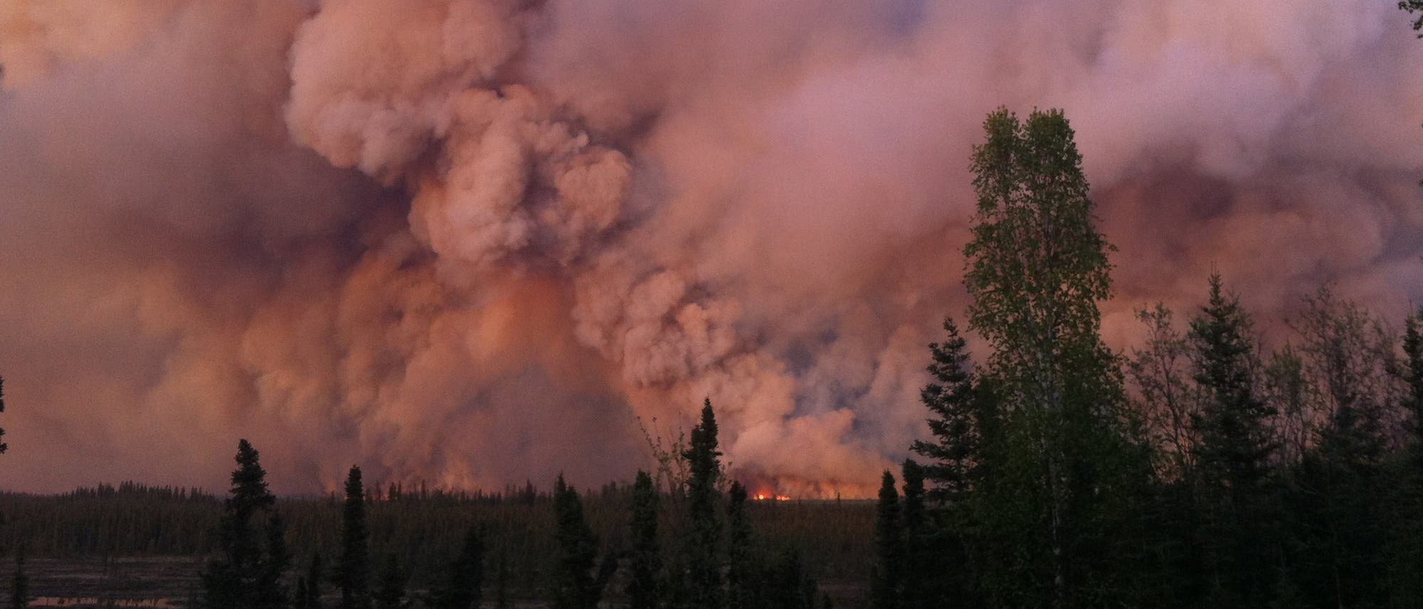 Waldbrand in Nordamerika (Symbolbild)