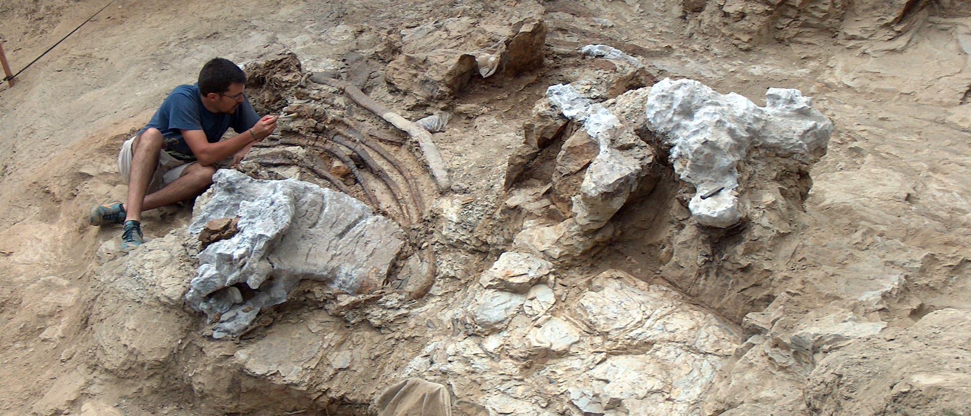 Ein Paläontologe sitzt in einer Grube in einer Fossilienlagerstätte und arbeitet an versteinerten Knochen. Sie sind teilweise freigelegt.