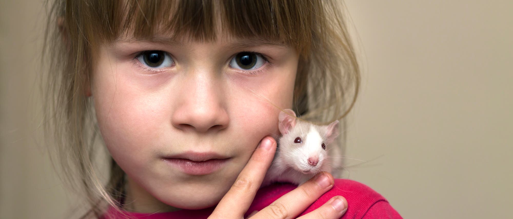 Ein kleines, braun-weiß-gescheckten Nagetier sitzt auf der Schulter eines Mädchen im roten Oberteil. Kind und Tier schauen in die Kamera.