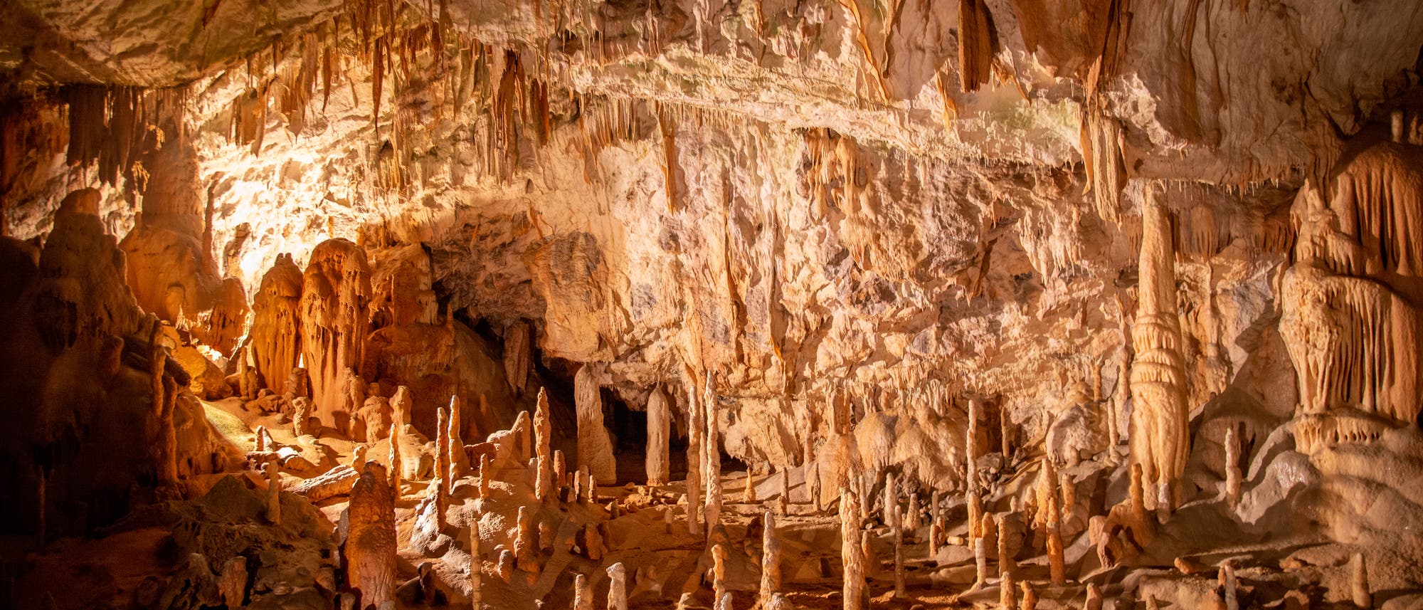 Eine beleuchtete Höhle mit zahlreichen Stalagmiten und Stalaktiten. Die Felsformationen sind in warmen Brauntönen gehalten und erstrecken sich von der Decke bis zum Boden. Die Beleuchtung hebt die Textur und Details der Kalksteinformationen hervor, die eine natürliche, beeindruckende Landschaft bilden. Eine beleuchtete Höhle mit zahlreichen Stalagmiten und Stalaktiten. Die Felsformationen sind in warmen Brauntönen gehalten und erstrecken sich von der Decke bis zum Boden. Die Beleuchtung hebt die Textur und Details der Kalksteinformationen hervor, die eine natürliche, beeindruckende Landschaft bilden.