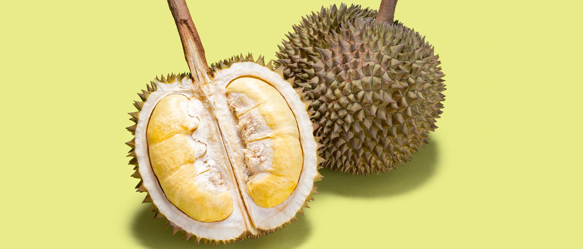 Zwei Durianfrüchte auf einem hellgrünen Hintergrund. Eine Frucht ist ganz und zeigt ihre stachelige Schale, während die andere halbiert ist und das gelbe, cremige Fruchtfleisch sichtbar ist. Die Szene hebt die einzigartige Textur und Farbe der Durian hervor. Zwei Durianfrüchte auf einem hellgrünen Hintergrund. Eine Frucht ist ganz und zeigt ihre stachelige Schale, während die andere halbiert ist und das gelbe, cremige Fruchtfleisch sichtbar ist. Die Szene hebt die einzigartige Textur und Farbe der Durian hervor.