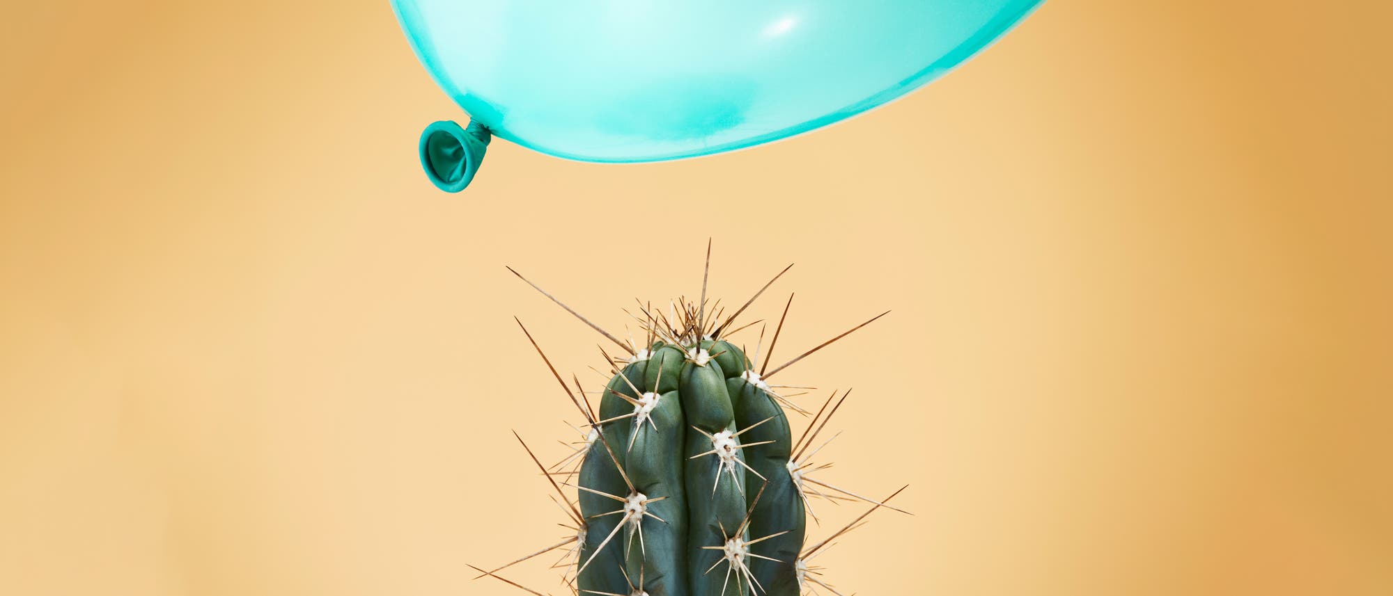 Ein grüner Kaktus mit langen, spitzen Stacheln steht vor einem gelben Hintergrund. Direkt über dem Kaktus schwebt ein hellblauer Luftballon, der kurz davor ist, die Stacheln zu berühren. Die Szene vermittelt Spannung und das Nahen eines Unglücks. Ein grüner Kaktus mit langen, spitzen Stacheln steht vor einem gelben Hintergrund. Direkt über dem Kaktus schwebt ein hellblauer Luftballon, der kurz davor ist, die Stacheln zu berühren. Die Szene vermittelt Spannung und das Nahen eines Unglücks.