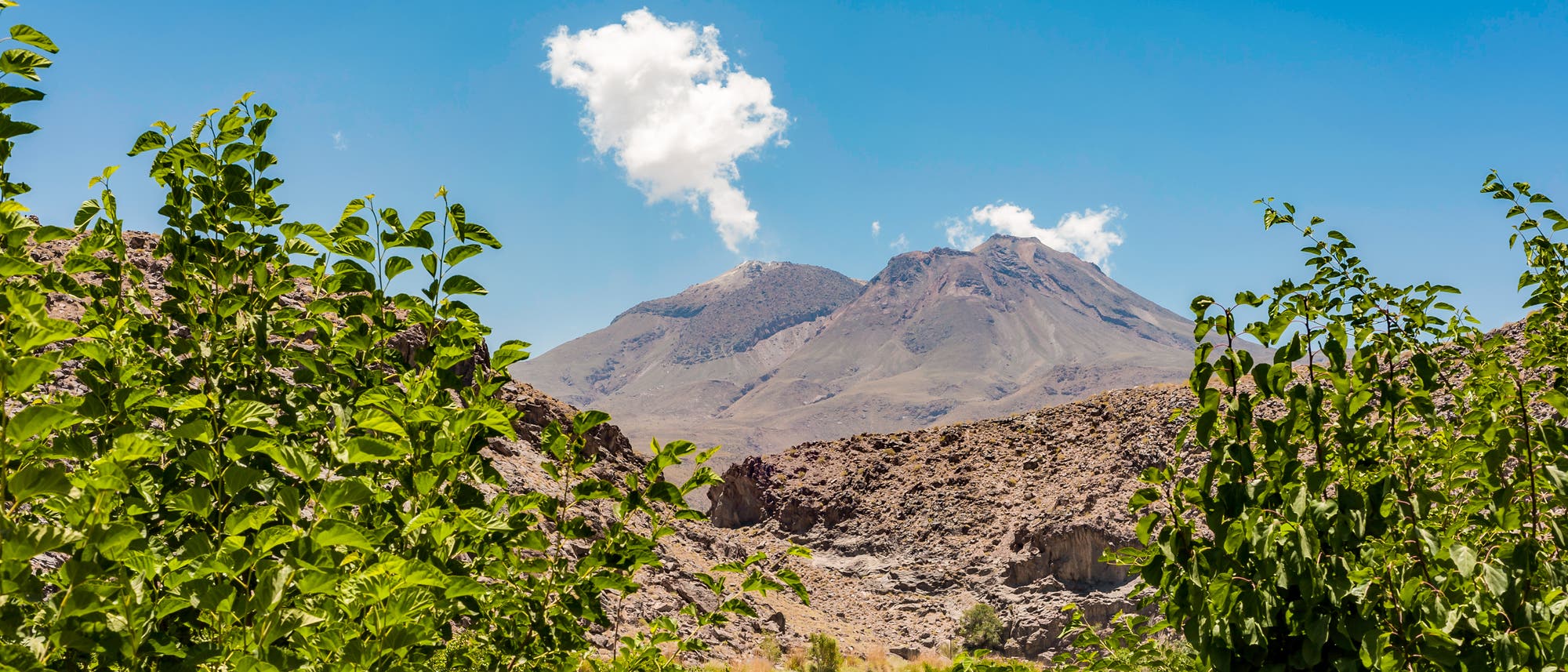 Blick auf eine bergige Landschaft mit zwei markanten Gipfeln unter einem klaren blauen Himmel. Im Vordergrund sind grüne Büsche und Pflanzen zu sehen. Eine einzelne weiße Wolke schwebt über den Bergen. Die Szene vermittelt ein Gefühl von Ruhe und natürlicher Schönheit. Blick auf eine bergige Landschaft mit zwei markanten Gipfeln unter einem klaren blauen Himmel. Im Vordergrund sind grüne Büsche und Pflanzen zu sehen. Eine einzelne weiße Wolke schwebt über den Bergen. Die Szene vermittelt ein Gefühl von Ruhe und natürlicher Schönheit.