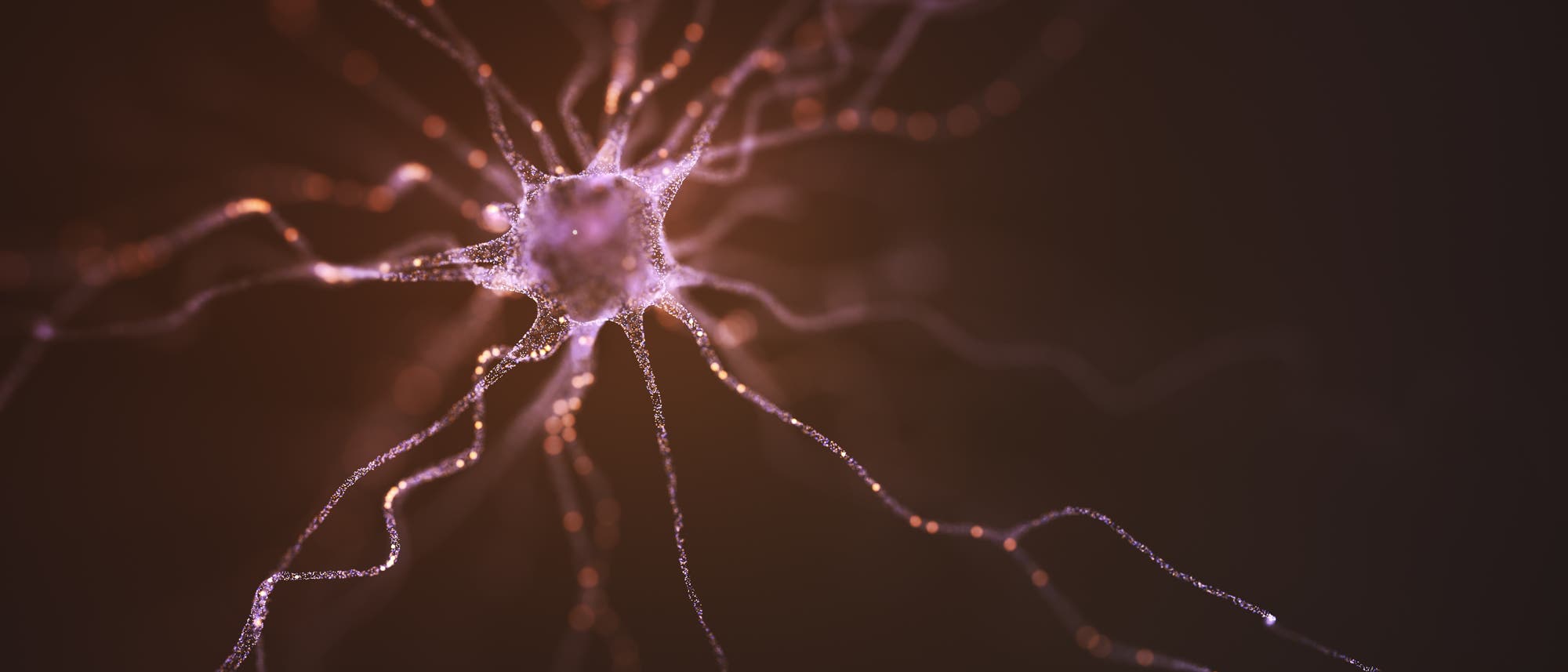 Illustration eines Neurons mit leuchtenden, verzweigten Dendriten, die sich vom zentralen Zellk&ouml;rper aus erstrecken. Die Struktur ist in warmen T&ouml;nen gehalten, die Details der neuronalen Verbindungen hervorheben. 