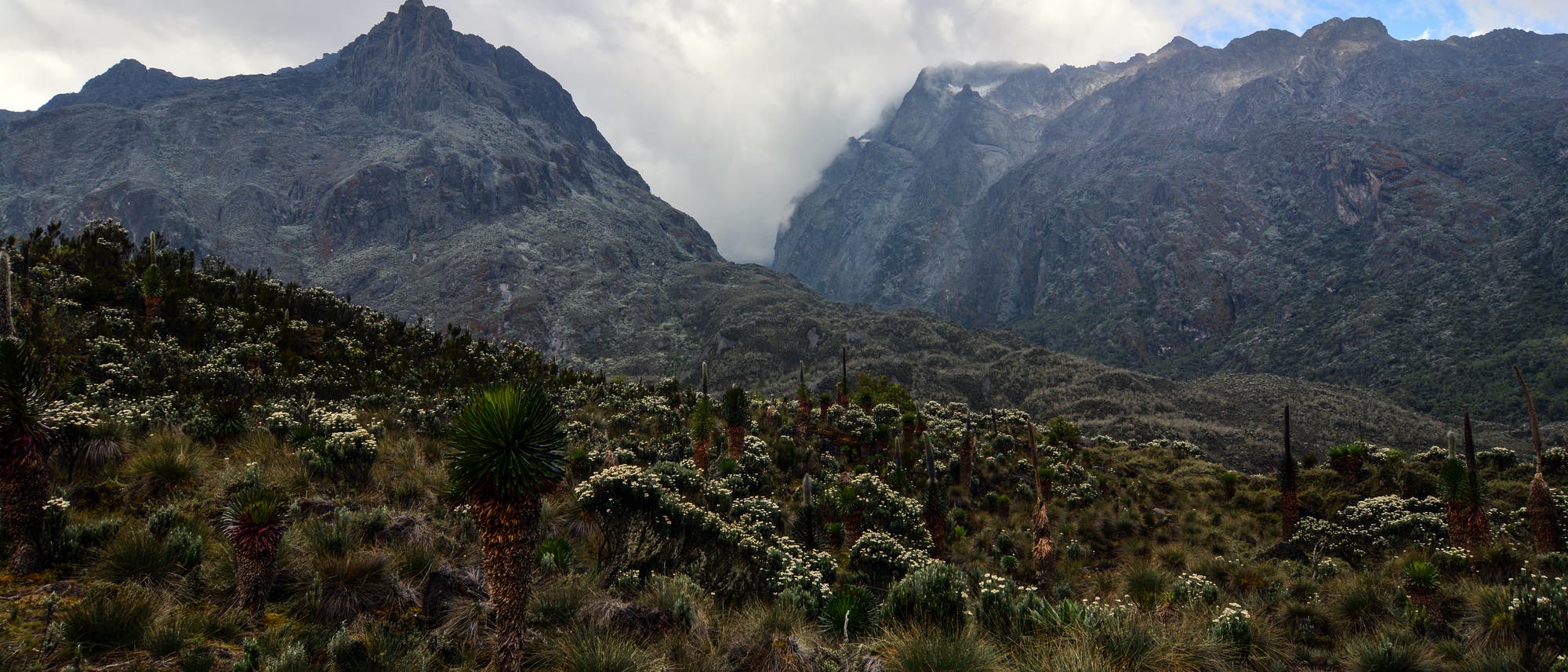 Berglandschaft mit bewachsenen H&uuml;geln im Vordergrund und steilen, felsigen Gipfeln im Hintergrund. Wolken ziehen &uuml;ber die Berge, w&auml;hrend der Himmel teilweise blau ist. Vegetation besteht aus Gr&auml;sern und Str&auml;uchern.
