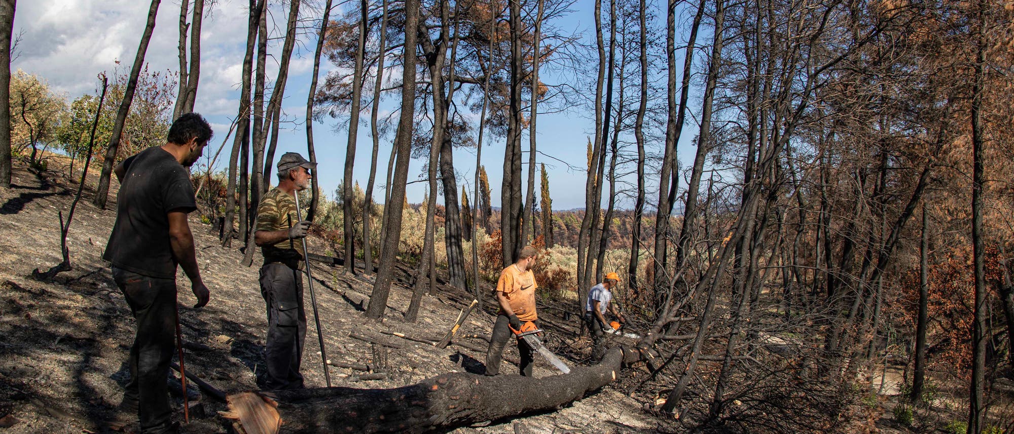 Eine Gruppe von Menschen arbeitet in einem verbrannten Waldgebiet. Sie stehen auf einem Hang mit verkohlten B&auml;umen und entfernen einen umgest&uuml;rzten Baumstamm. Der Himmel ist klar und blau, was auf einen sonnigen Tag hindeutet. Die Szene zeigt die Bem&uuml;hungen zur Wiederherstellung nach einem Waldbrand.