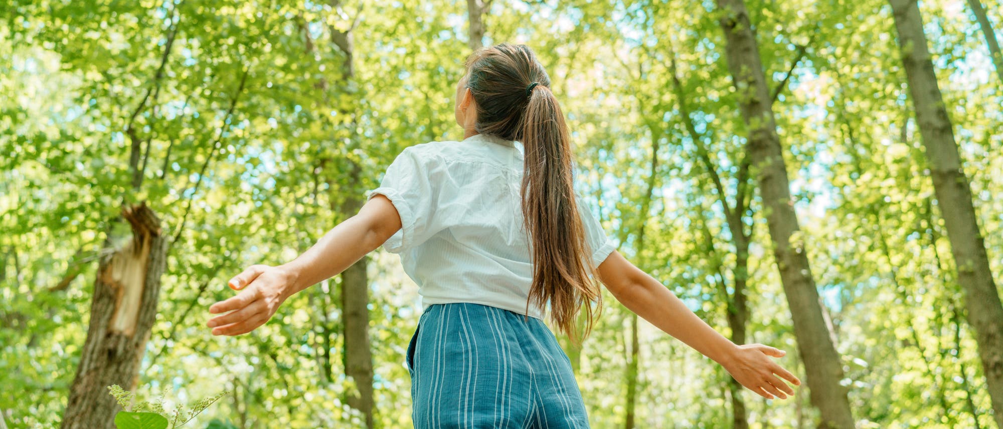 Eine Person steht mit ausgebreiteten Armen in einem sonnendurchfluteten Wald. Die B&auml;ume sind hoch und dicht belaubt, und das Licht f&auml;llt sanft durch das Bl&auml;tterdach. Die Szene vermittelt ein Gef&uuml;hl von Freiheit und Naturverbundenheit.