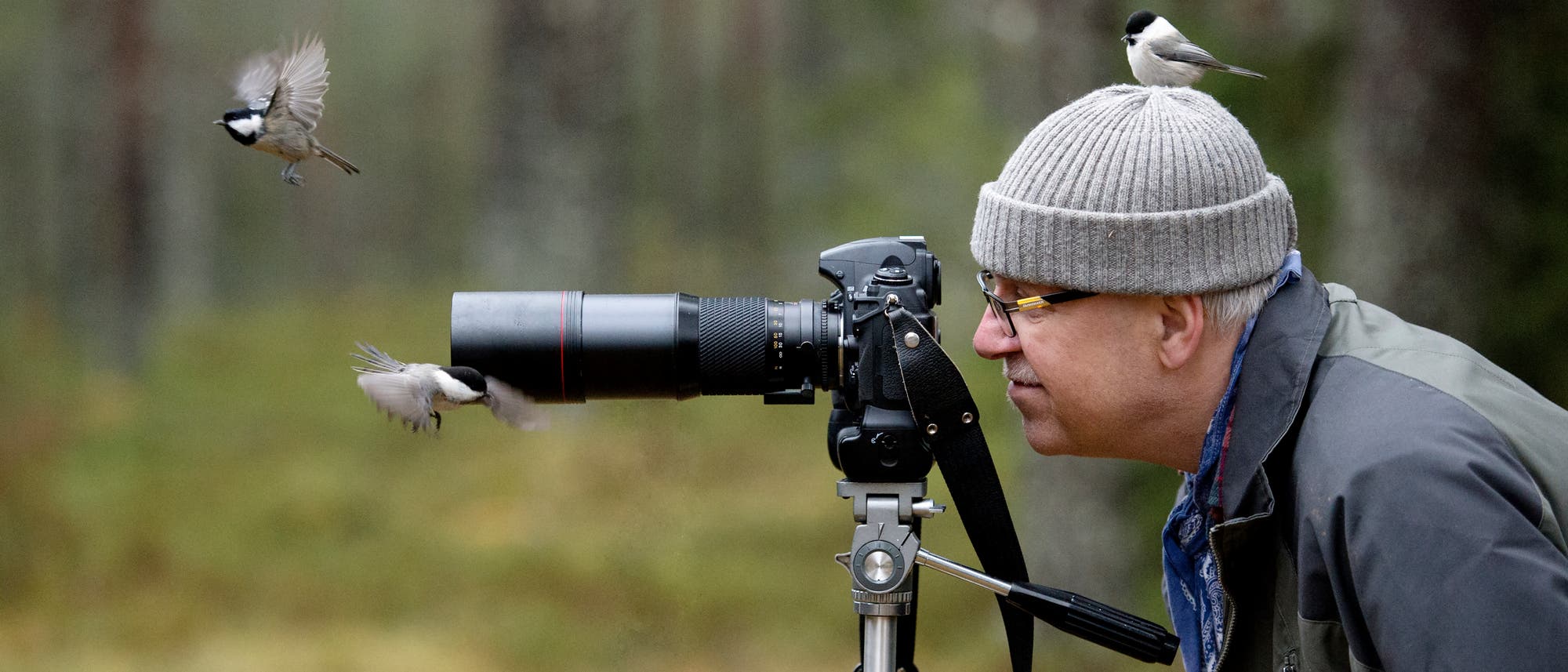 Eine Person mit Mütze beobachtet durch eine Kamera auf einem Stativ in einem Wald. Zwei kleine Vögel fliegen in der Nähe des Kameraobjektivs, während ein weiterer Vogel auf der Mütze der Person sitzt. Die Szene vermittelt eine ruhige, naturverbundene Atmosphäre. Eine Person mit Mütze beobachtet durch eine Kamera auf einem Stativ in einem Wald. Zwei kleine Vögel fliegen in der Nähe des Kameraobjektivs, während ein weiterer Vogel auf der Mütze der Person sitzt. Die Szene vermittelt eine ruhige, naturverbundene Atmosphäre.