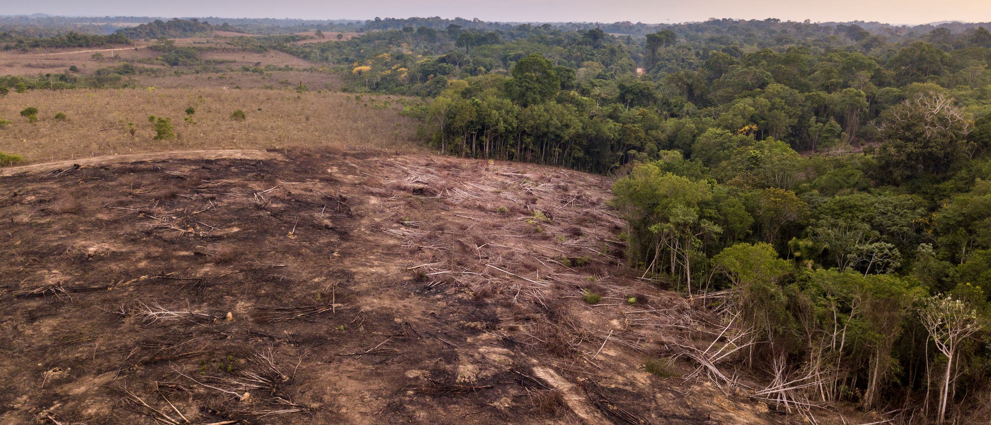 Drohnen-Luftaufnahme der Entwaldung im Amazonas-Regenwald