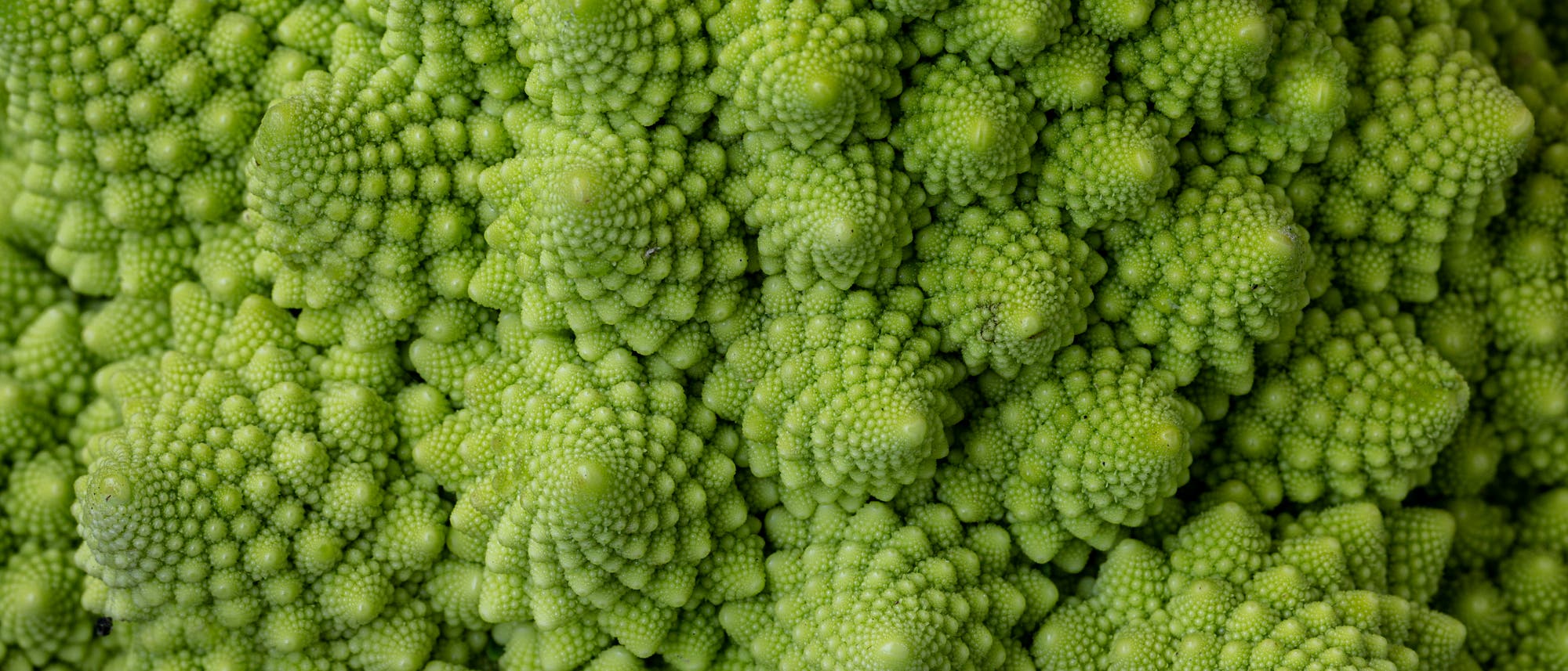 Nahaufnahme der Oberfläche eines Romanesco